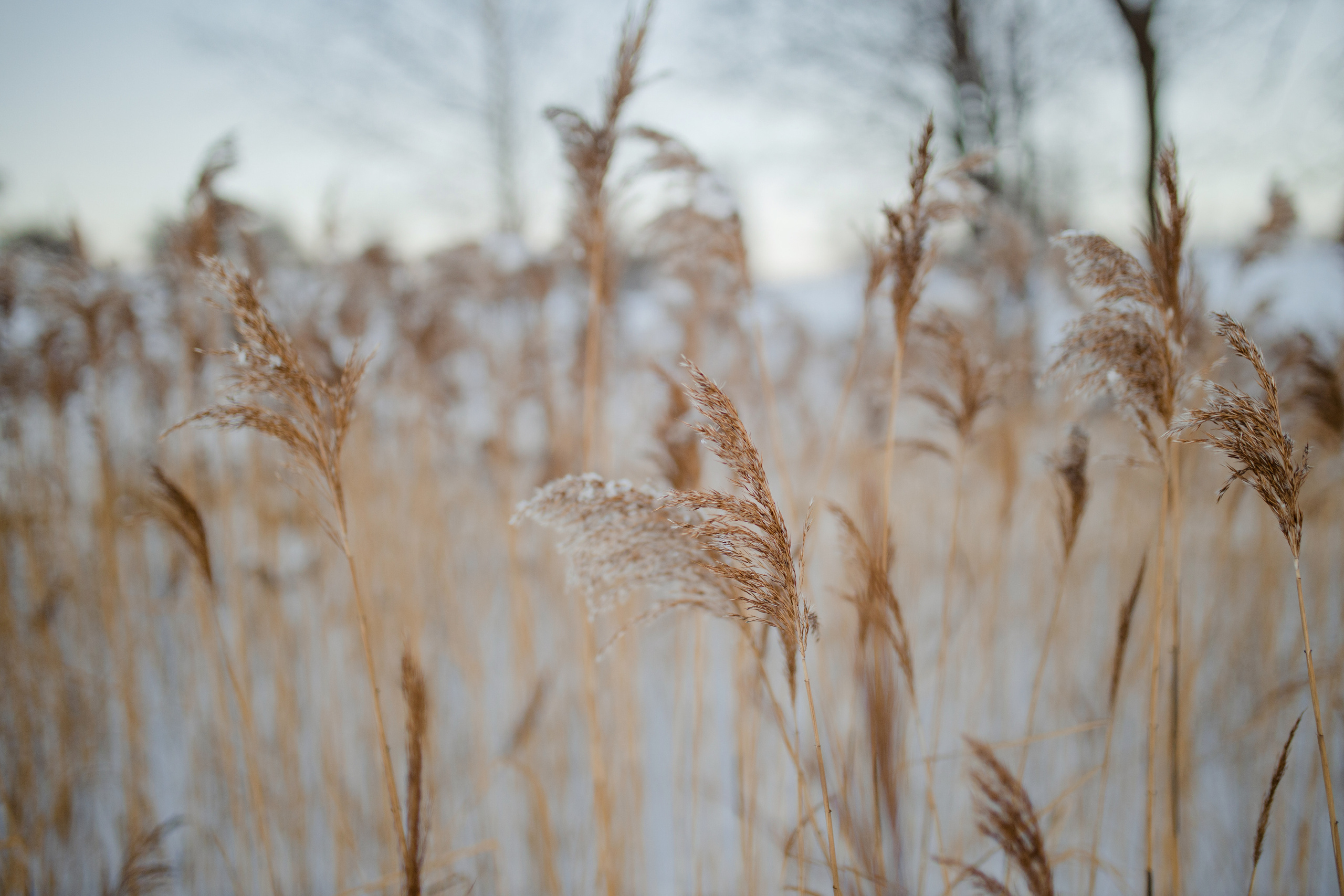 Вита. Фотограф Даугавпилс/Рига Виктория Нитиша