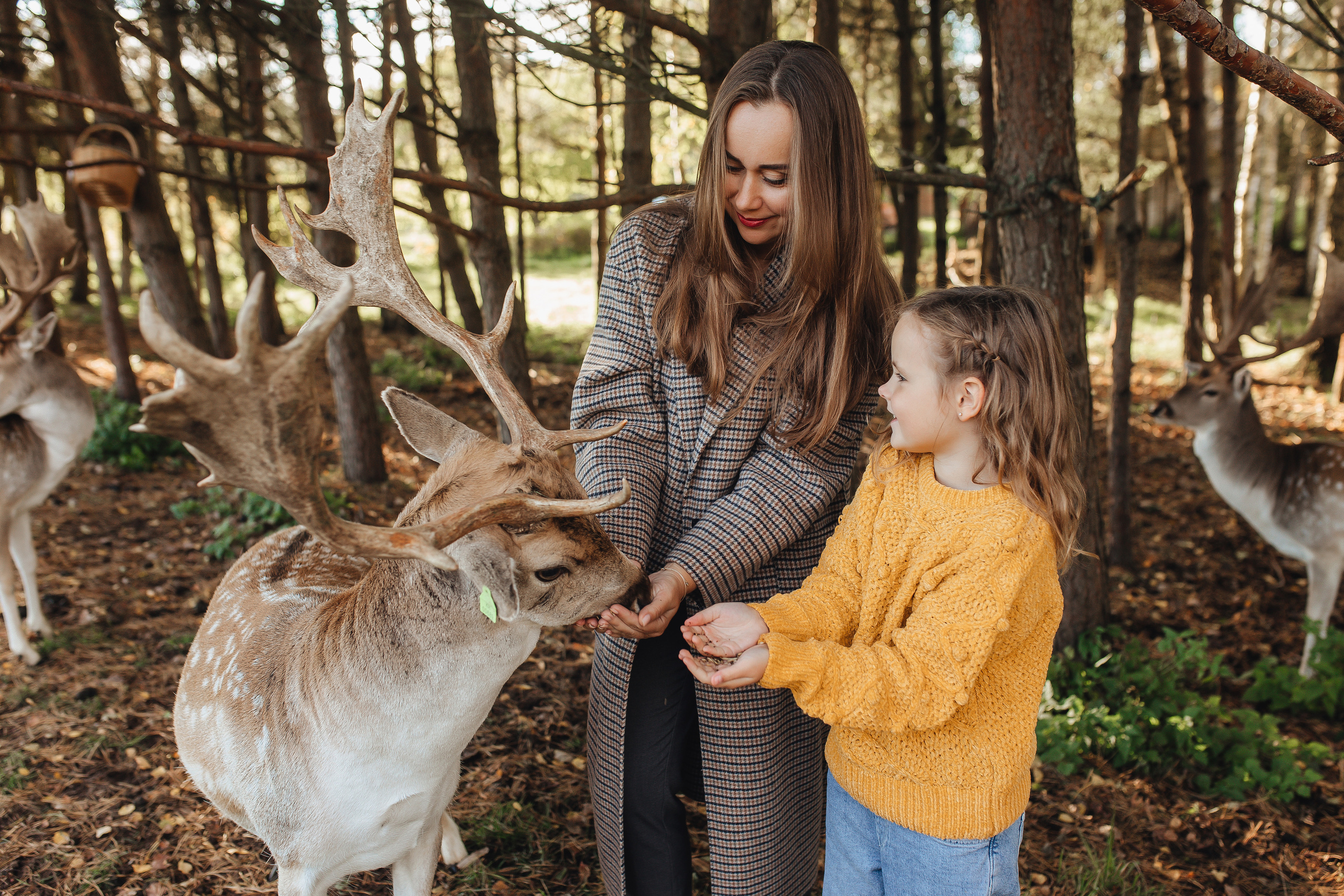 Семейные истории. Фотограф Даугавпилс/Рига Виктория Нитиша