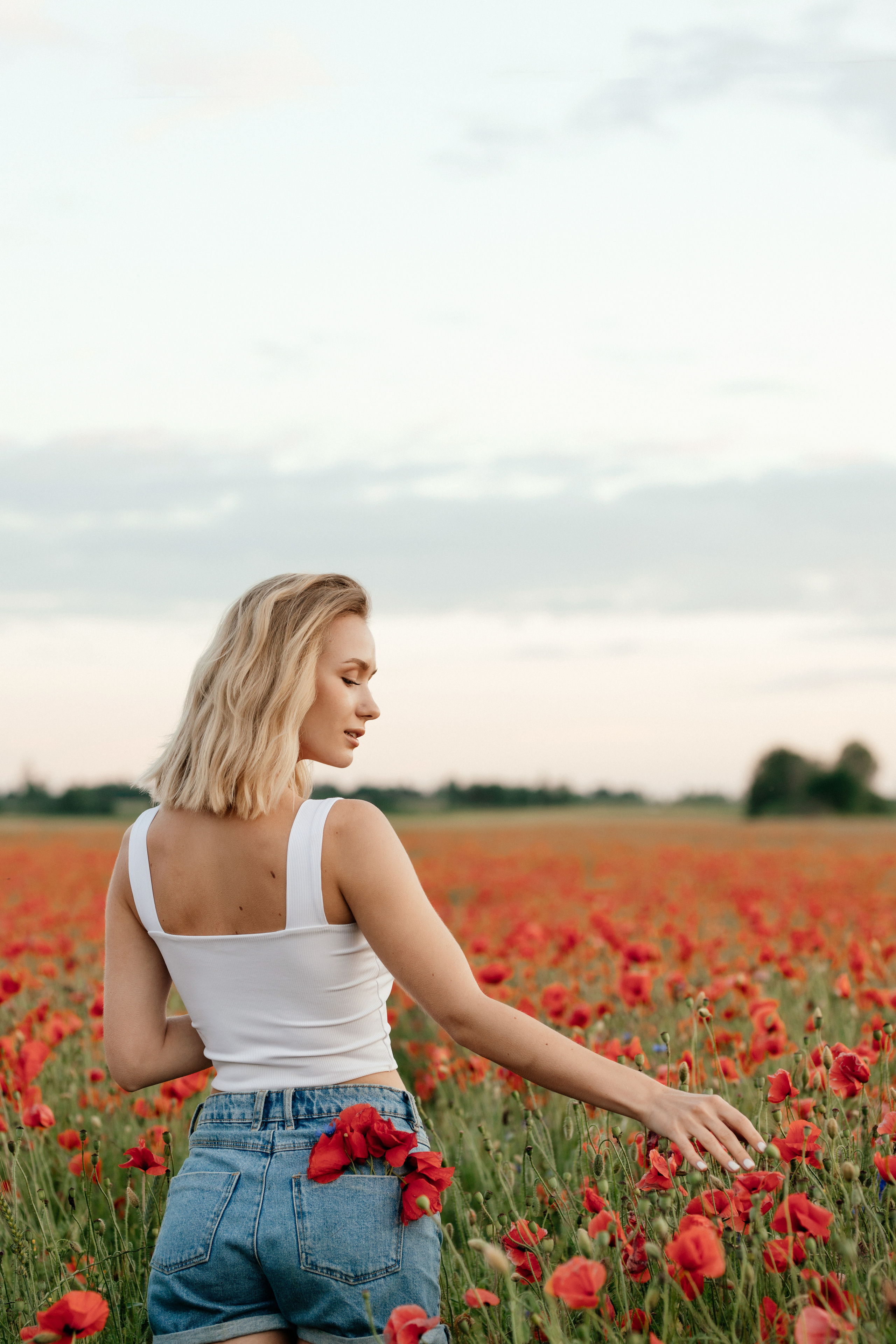 Маковое поле. Фотограф Даугавпилс/Рига Виктория Нитиша