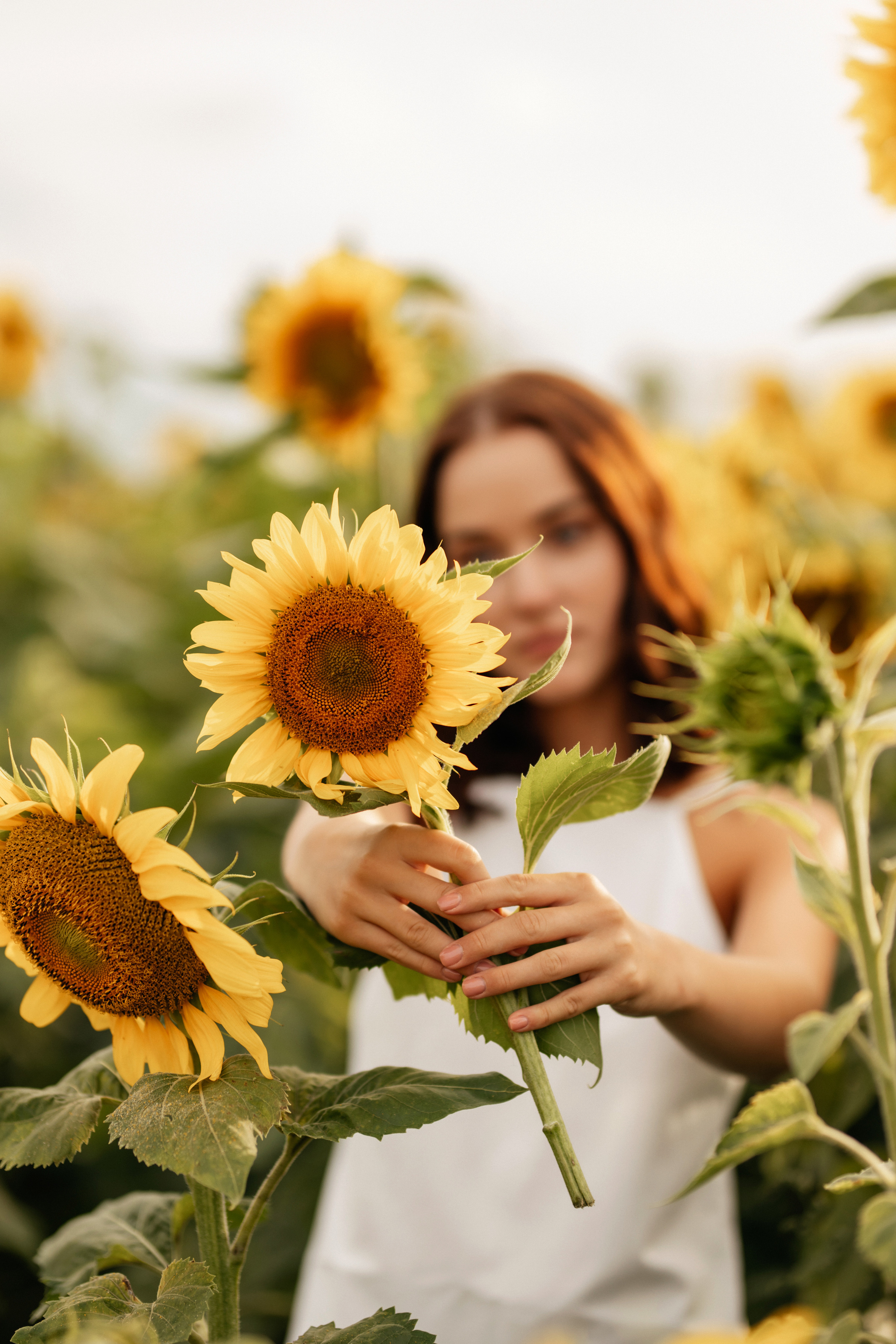 Солнечный рай. Фотограф Даугавпилс/Рига Виктория Нитиша