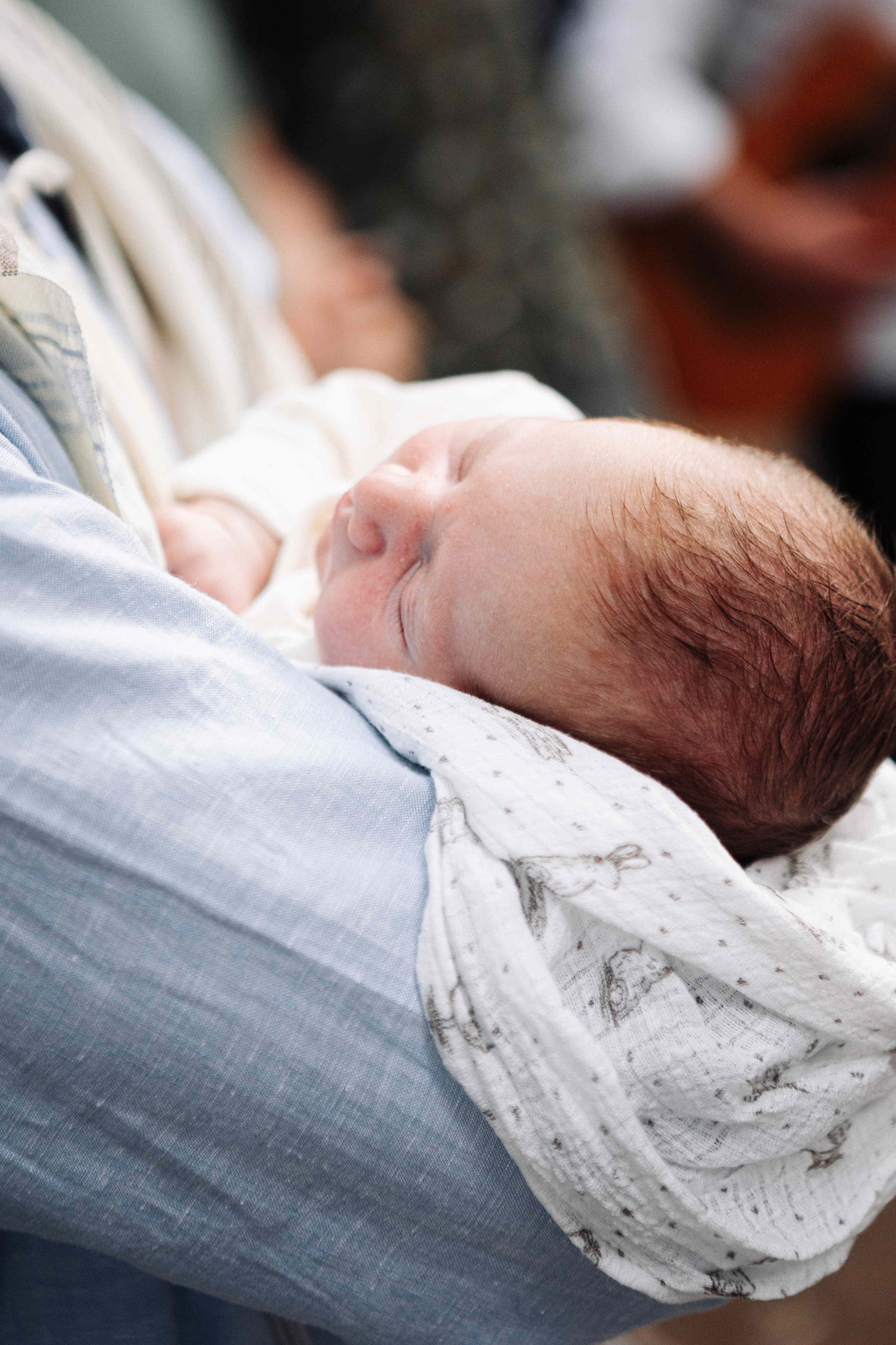 BRIT MILA IN NATURE IN JERUSALEM. Https://shi-photo.com/