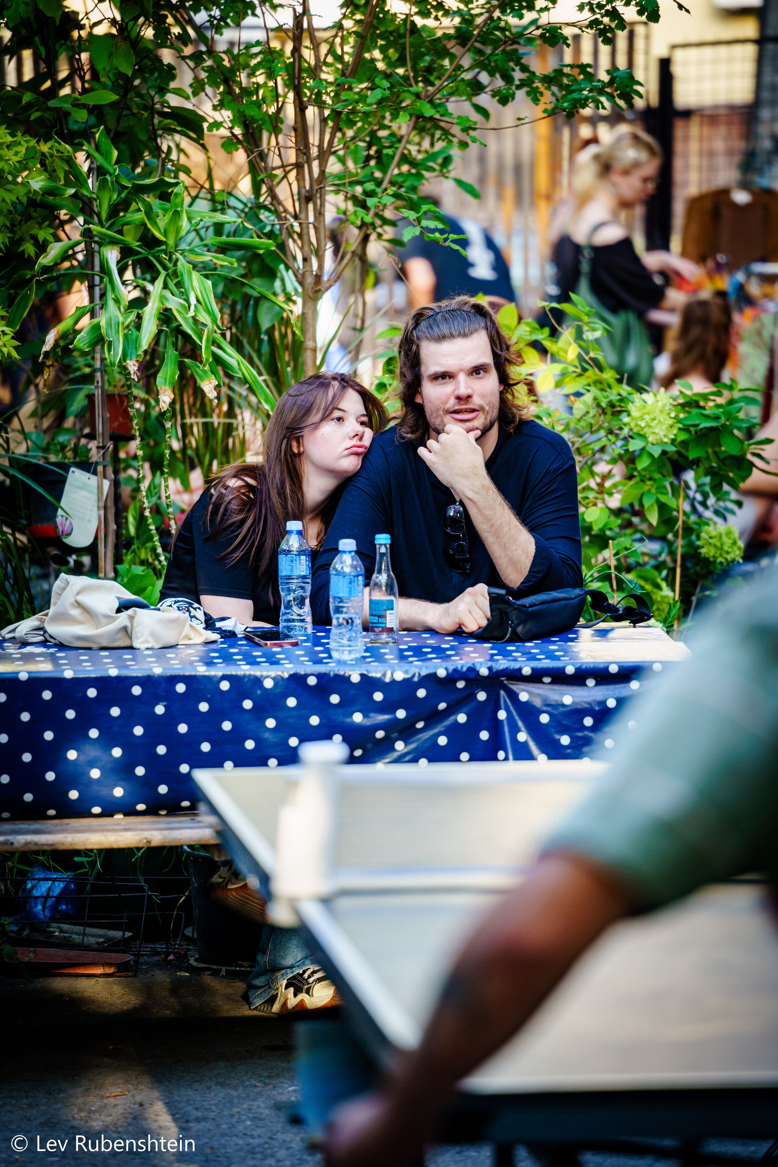 SUMMER FEST 17.08.2024. Concert and Event photographer in Belgrade, Serbia