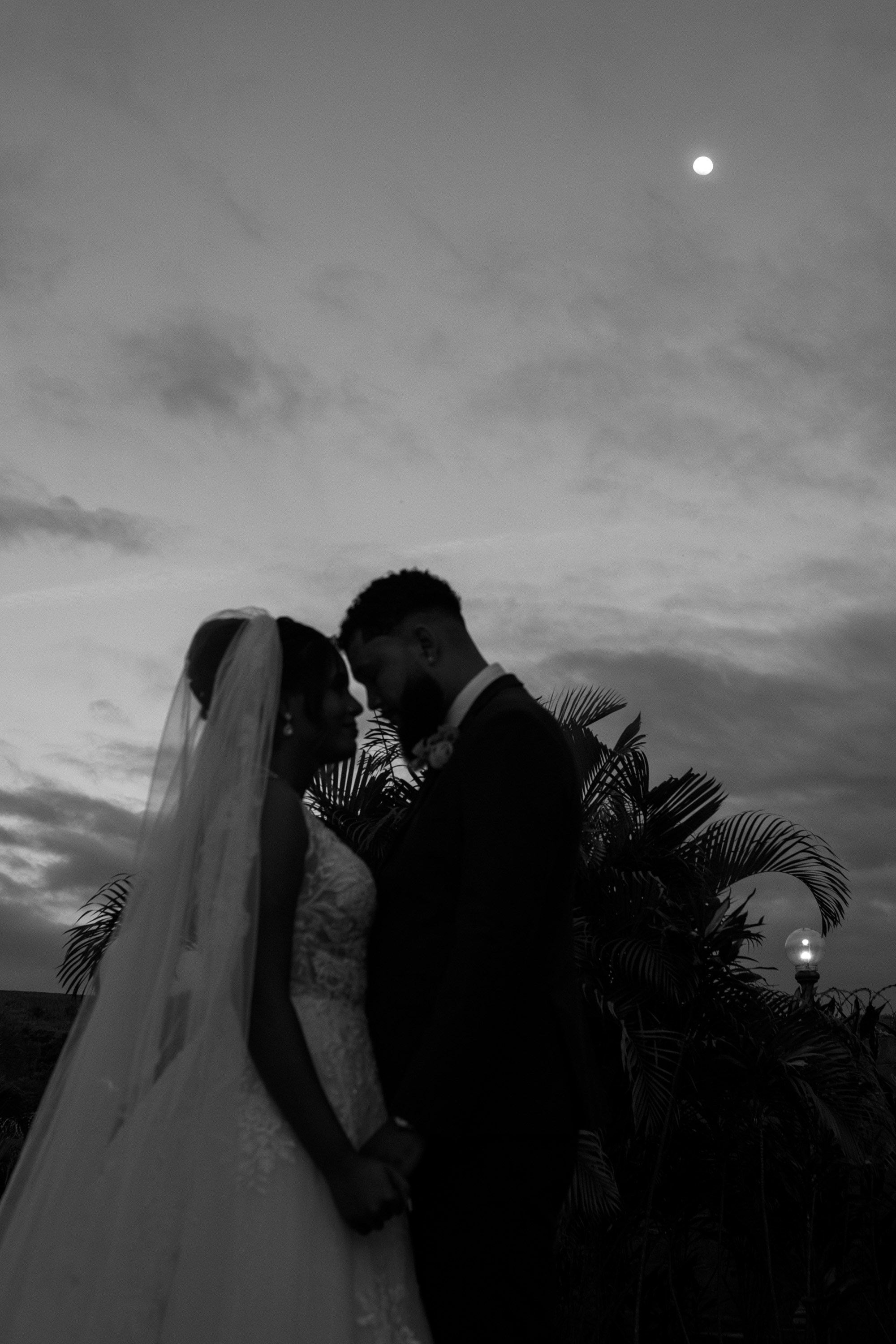 Novos Tempos Wedding