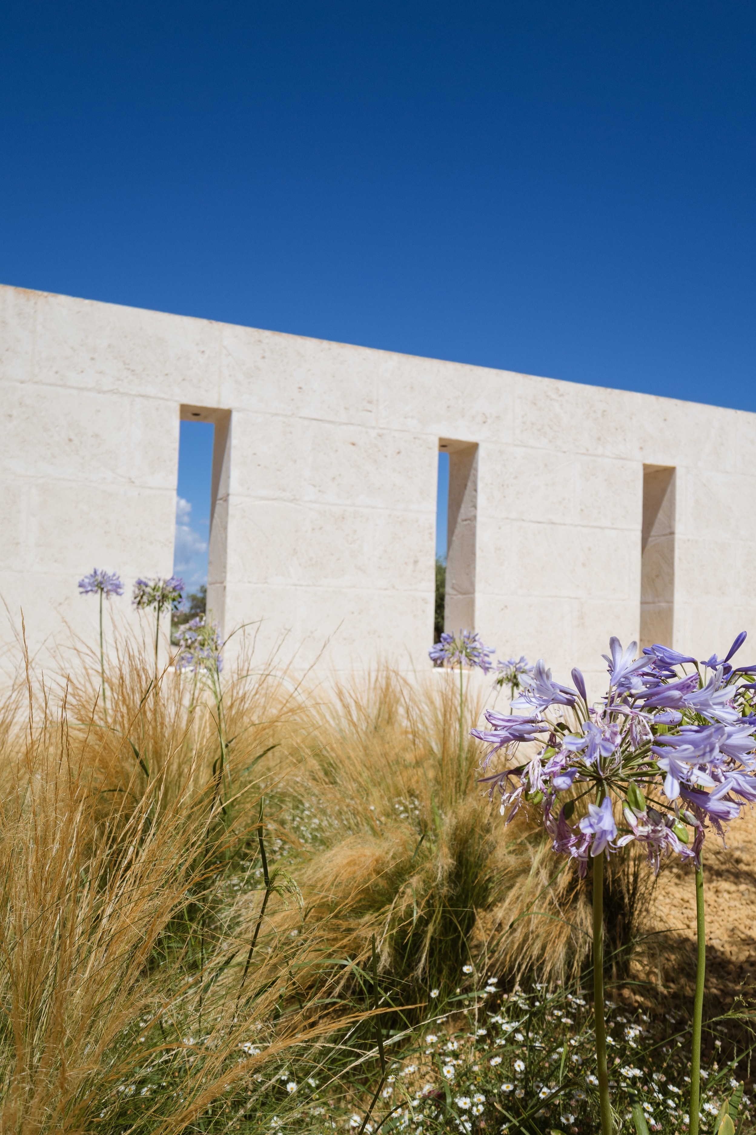 Immobilien - Finca Mallorca - Ses Salines. Viktoria Motte Fotografie Event-, Business- und Porträtfotografie Stuttgart | Mallorca