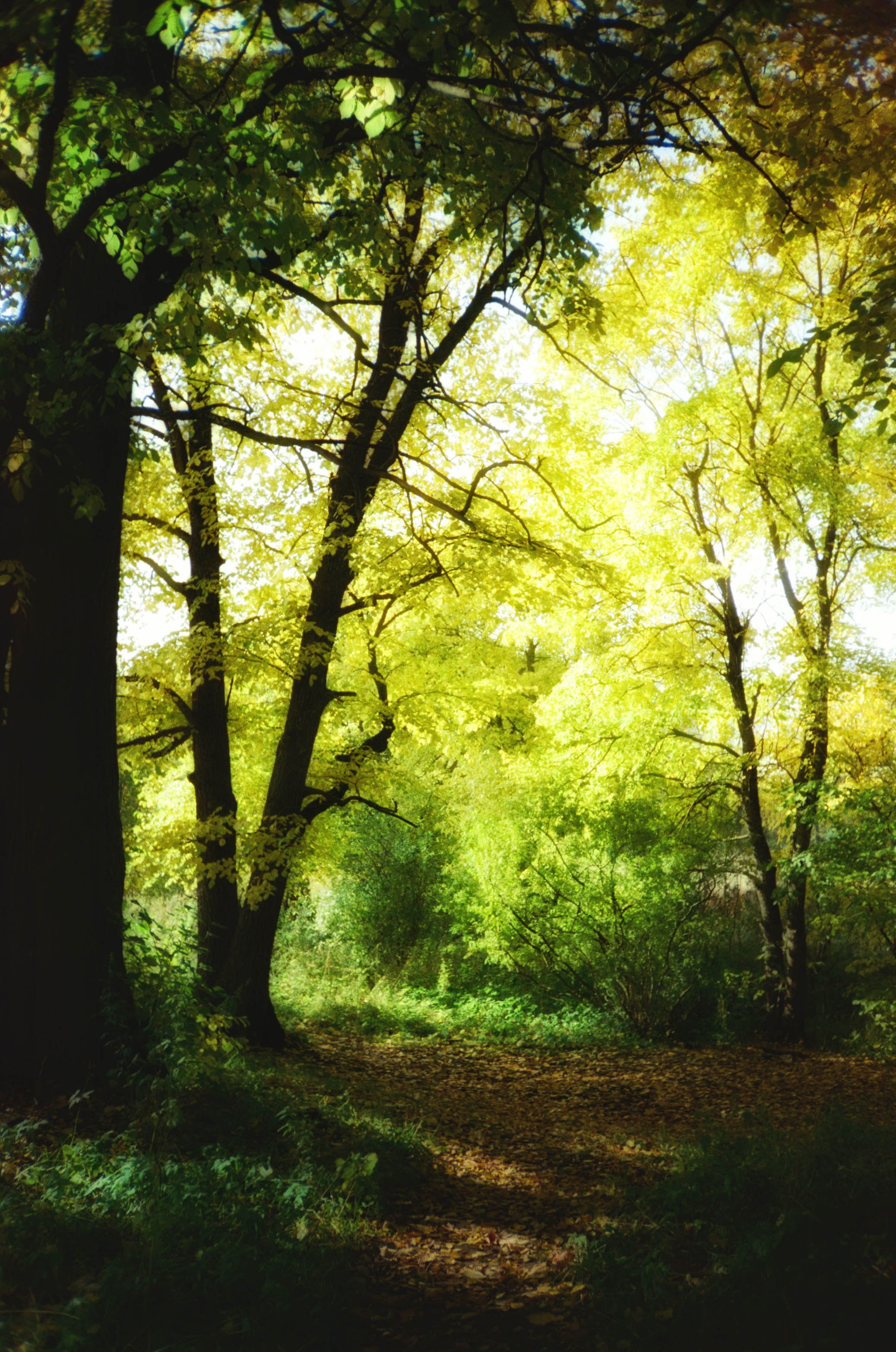 FADE. «Фотохроники»