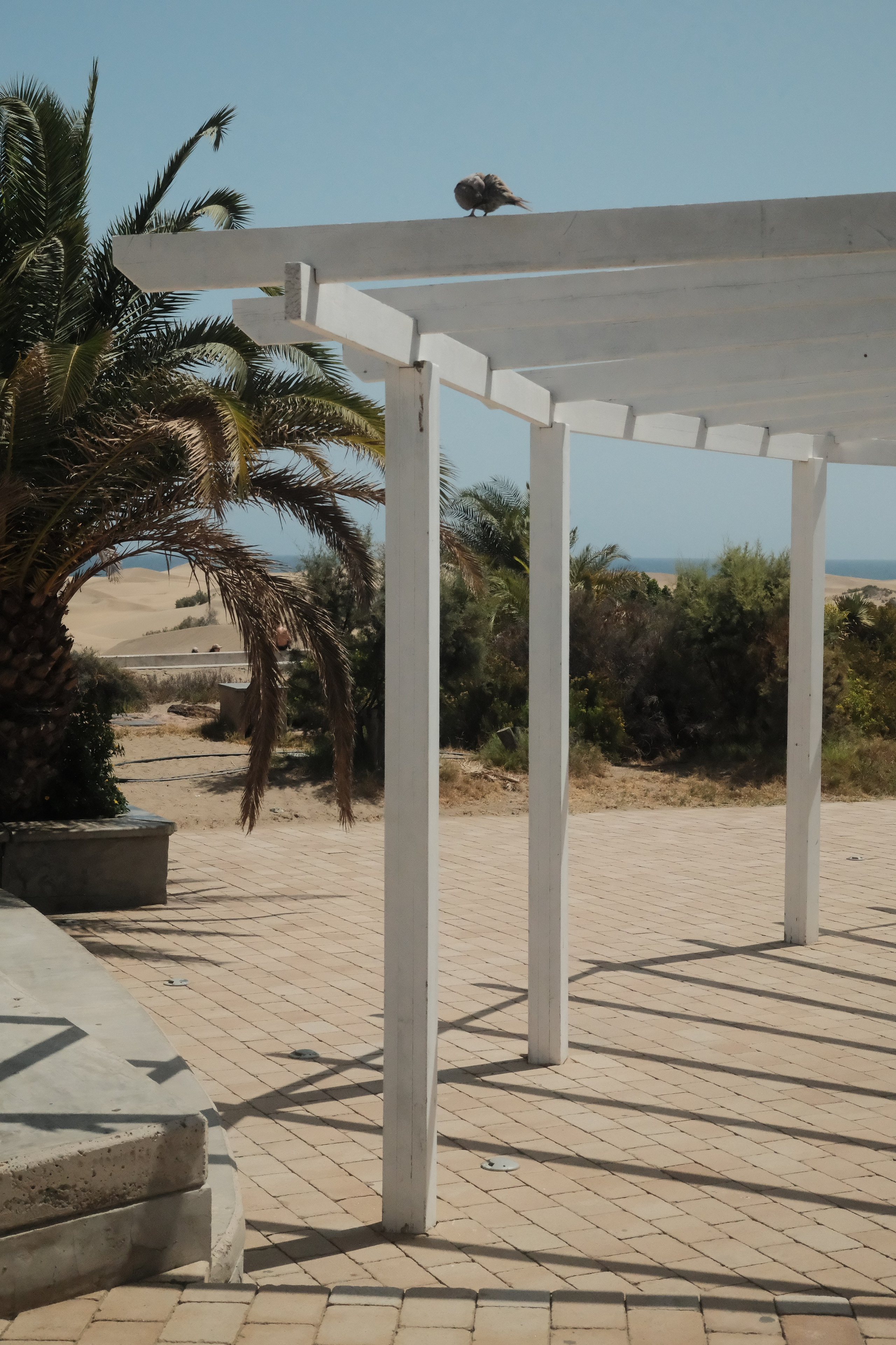 Gran Canaria 2025. Cal Takes Photos