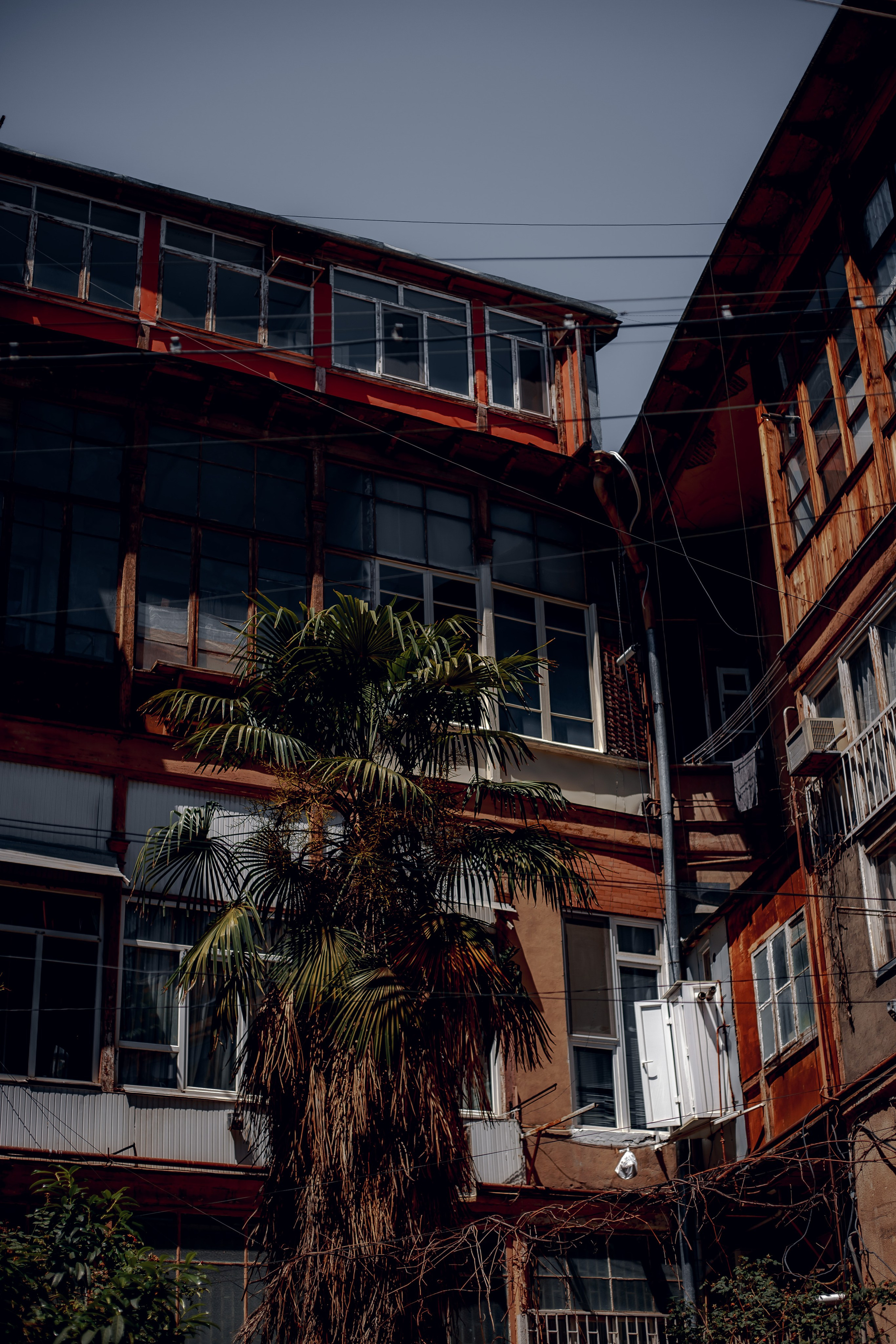 Insightour. Art Photographer