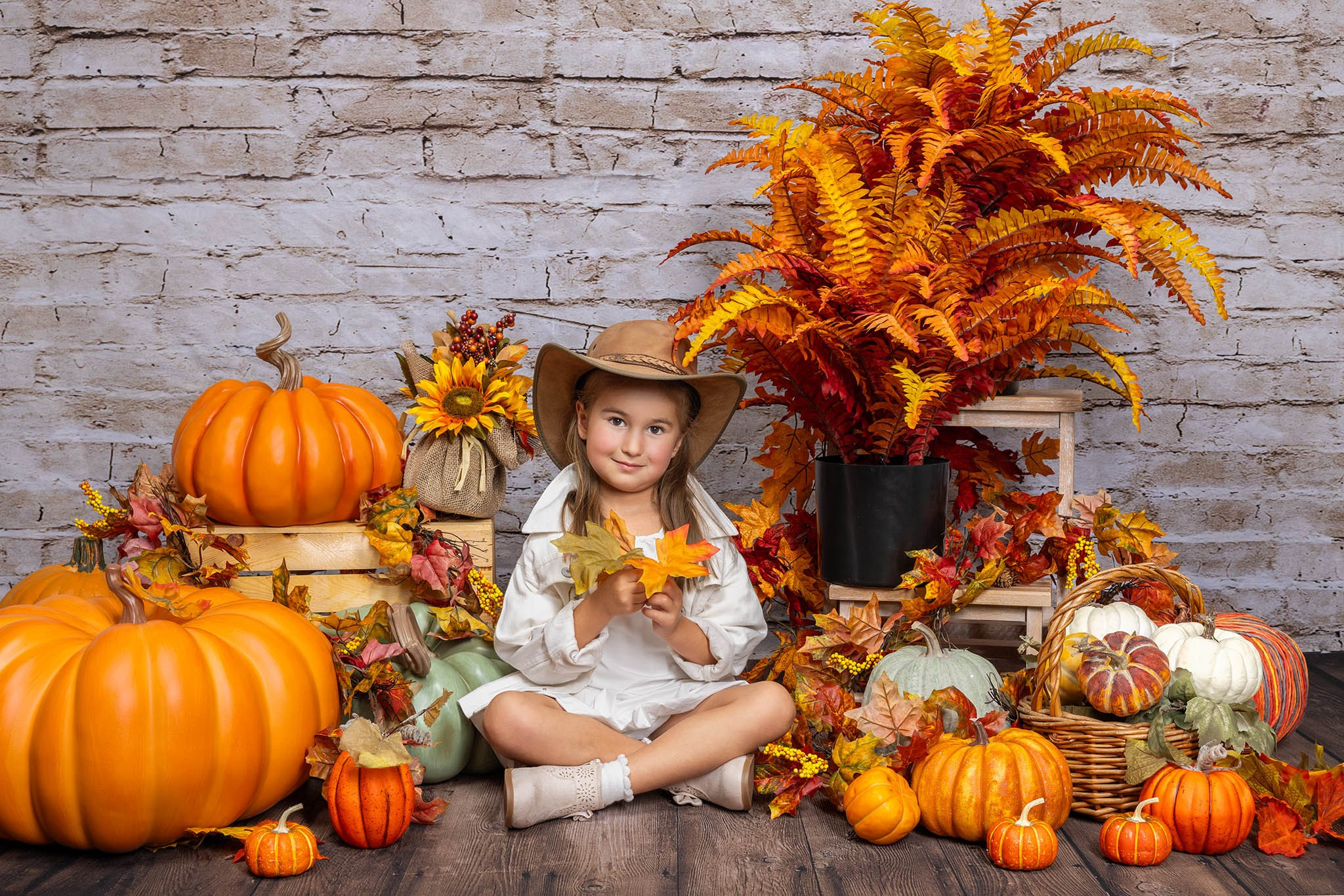Mini Sessions At Our Studio. Alex Mironyuk Photography