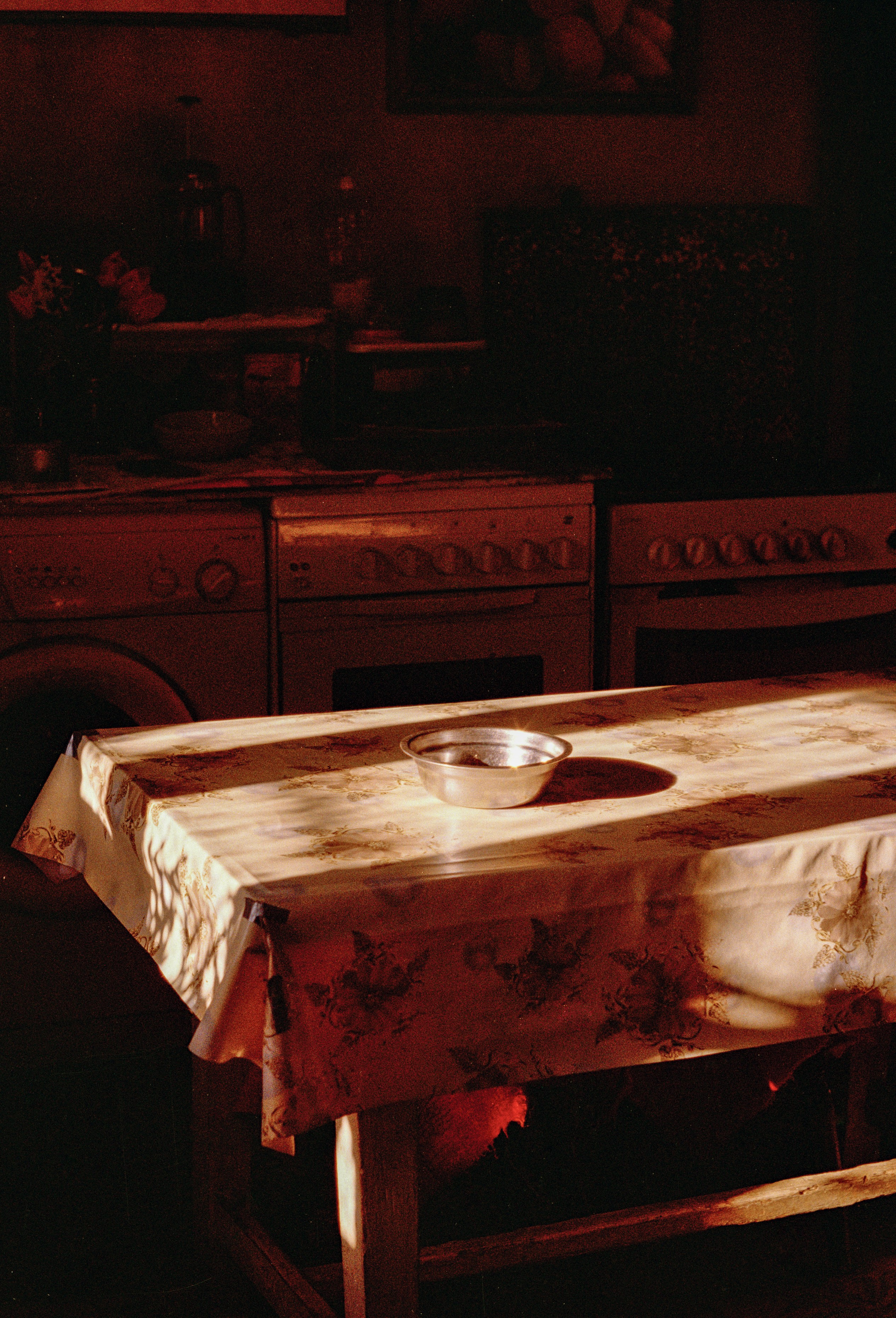 Still Home. Professional Photographer, Videographer in London Dilyana Tankova