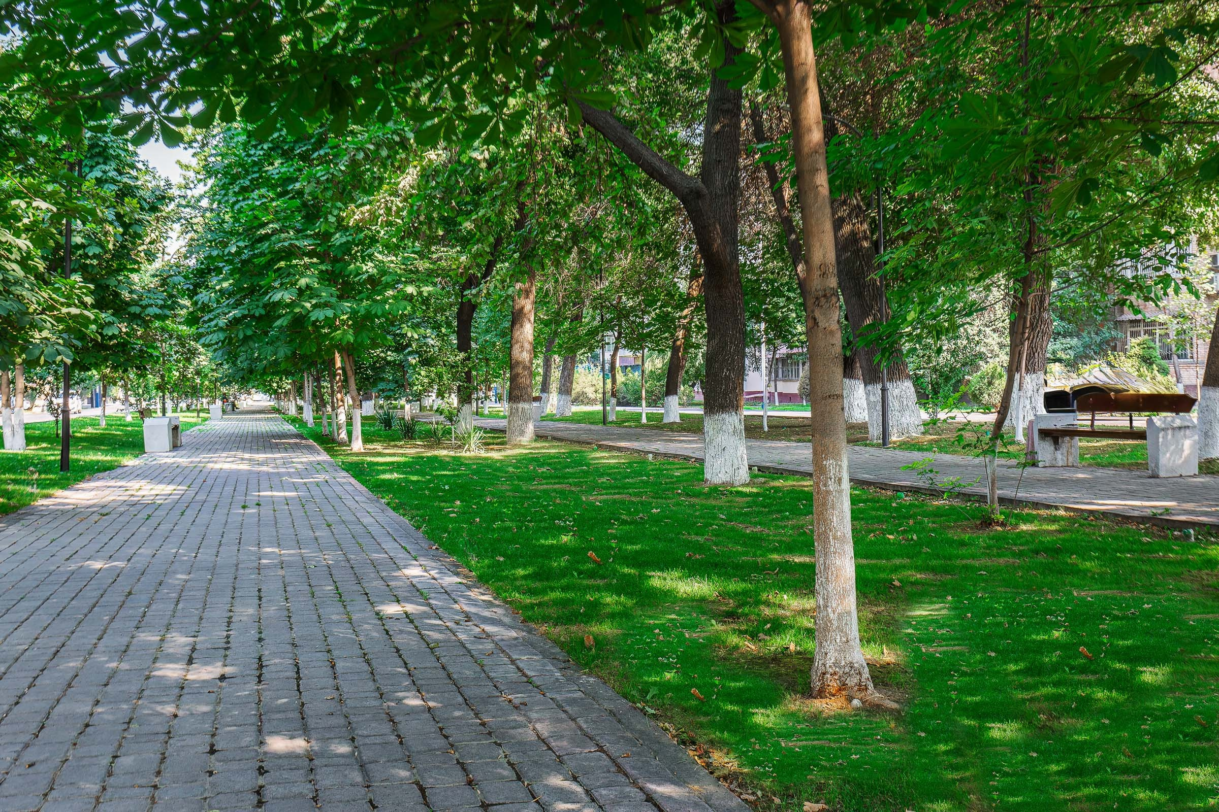Interior photoshoot in Tashkent, Uzbekistan for AirBnb publication