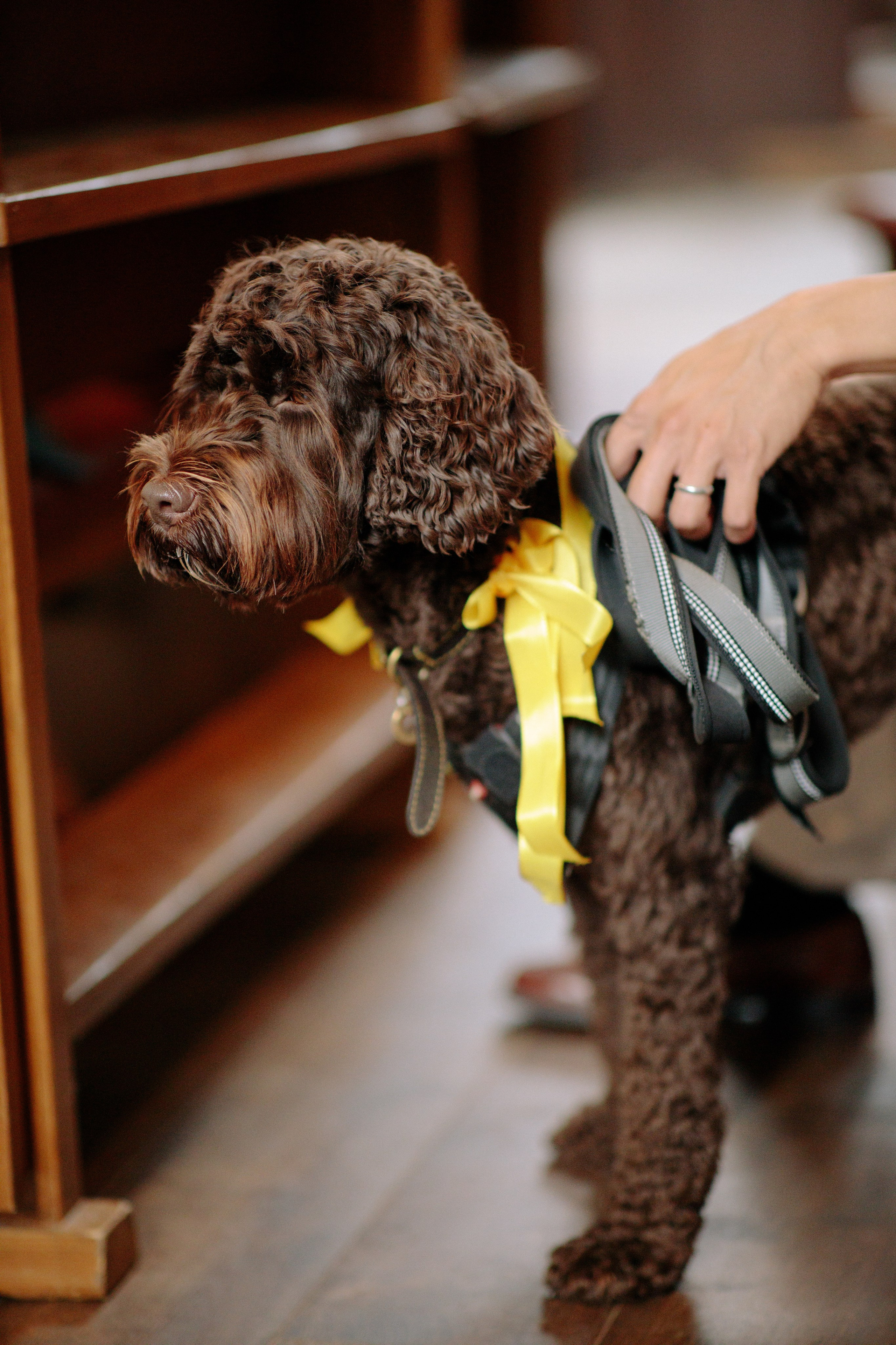 J & M. Hochzeitsfotograf Hamburg