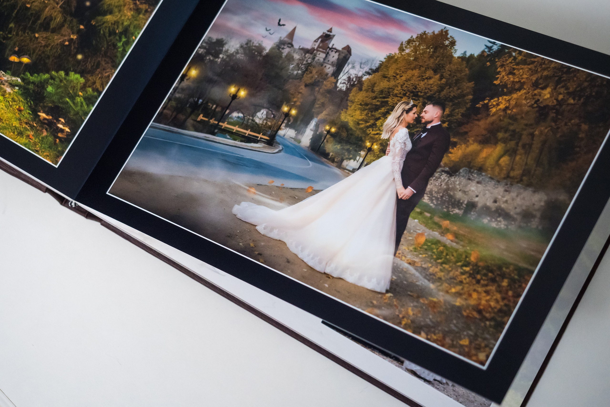 Albume Bogdan Palenciuc