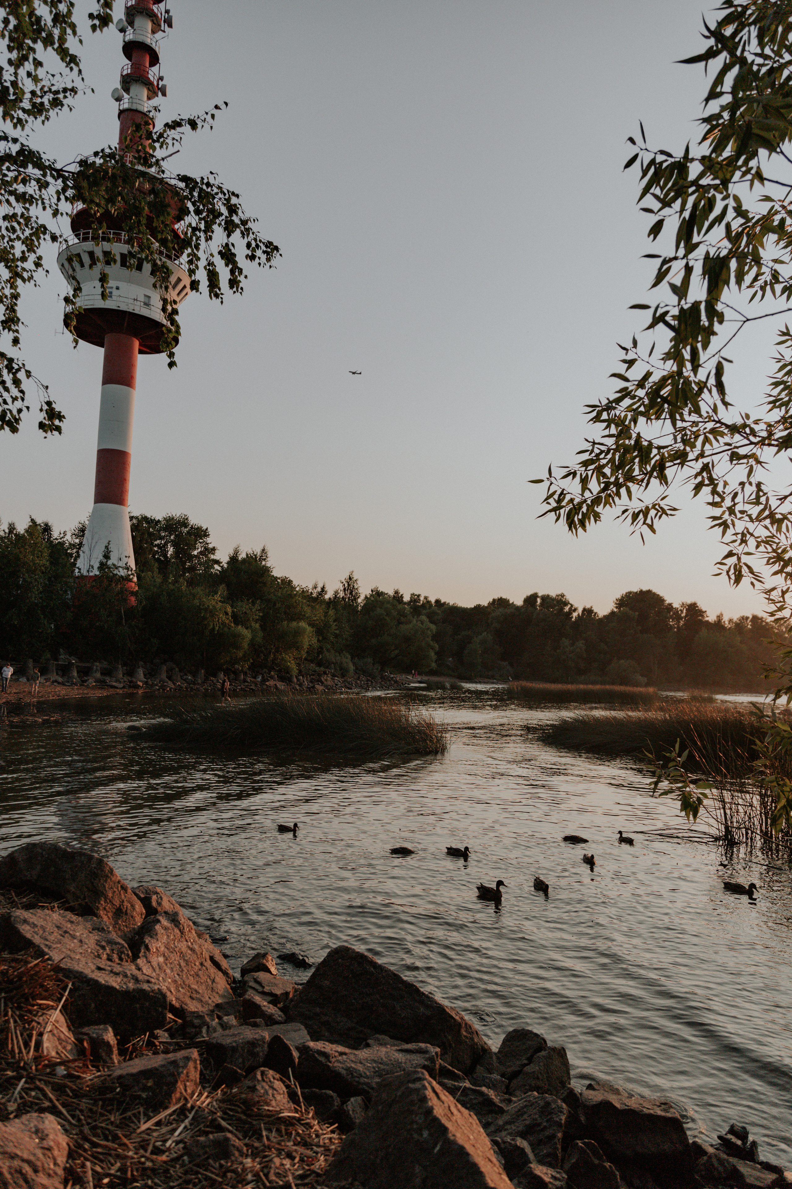 Zhivolup. Wedding, family and portrait photographer in Portland