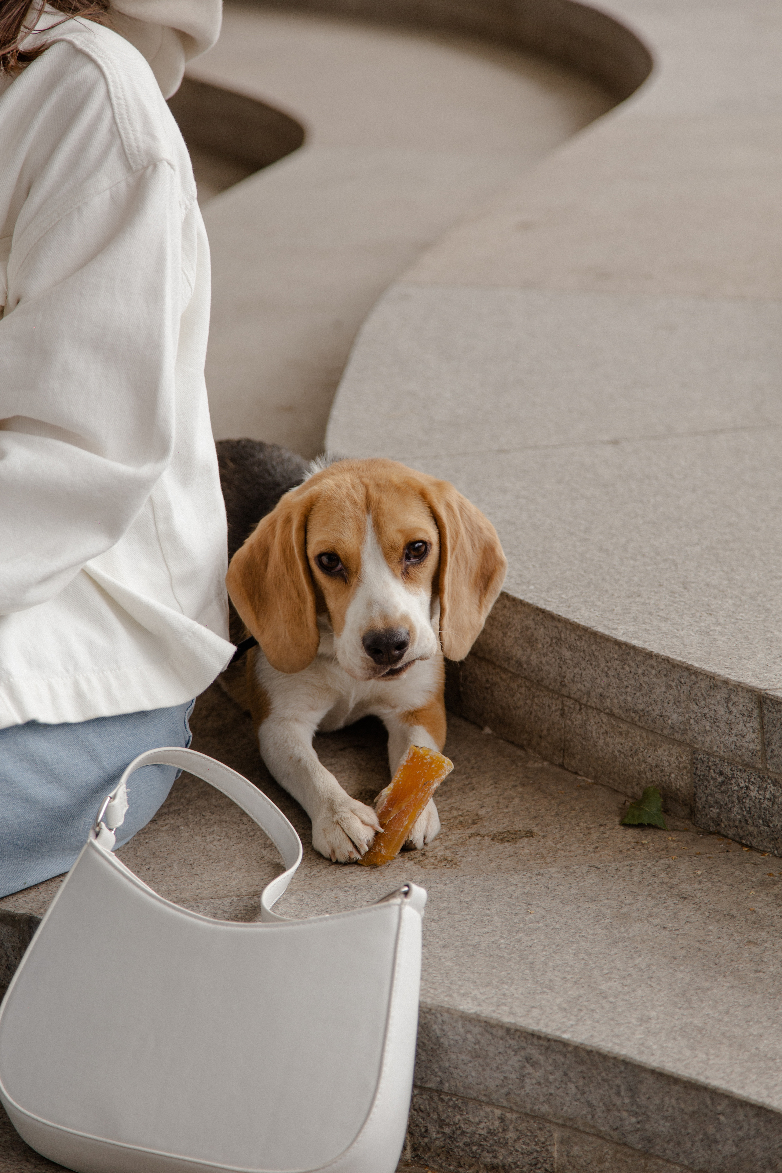 Angelika & Mark. Wedding, family and portrait photographer in Portland
