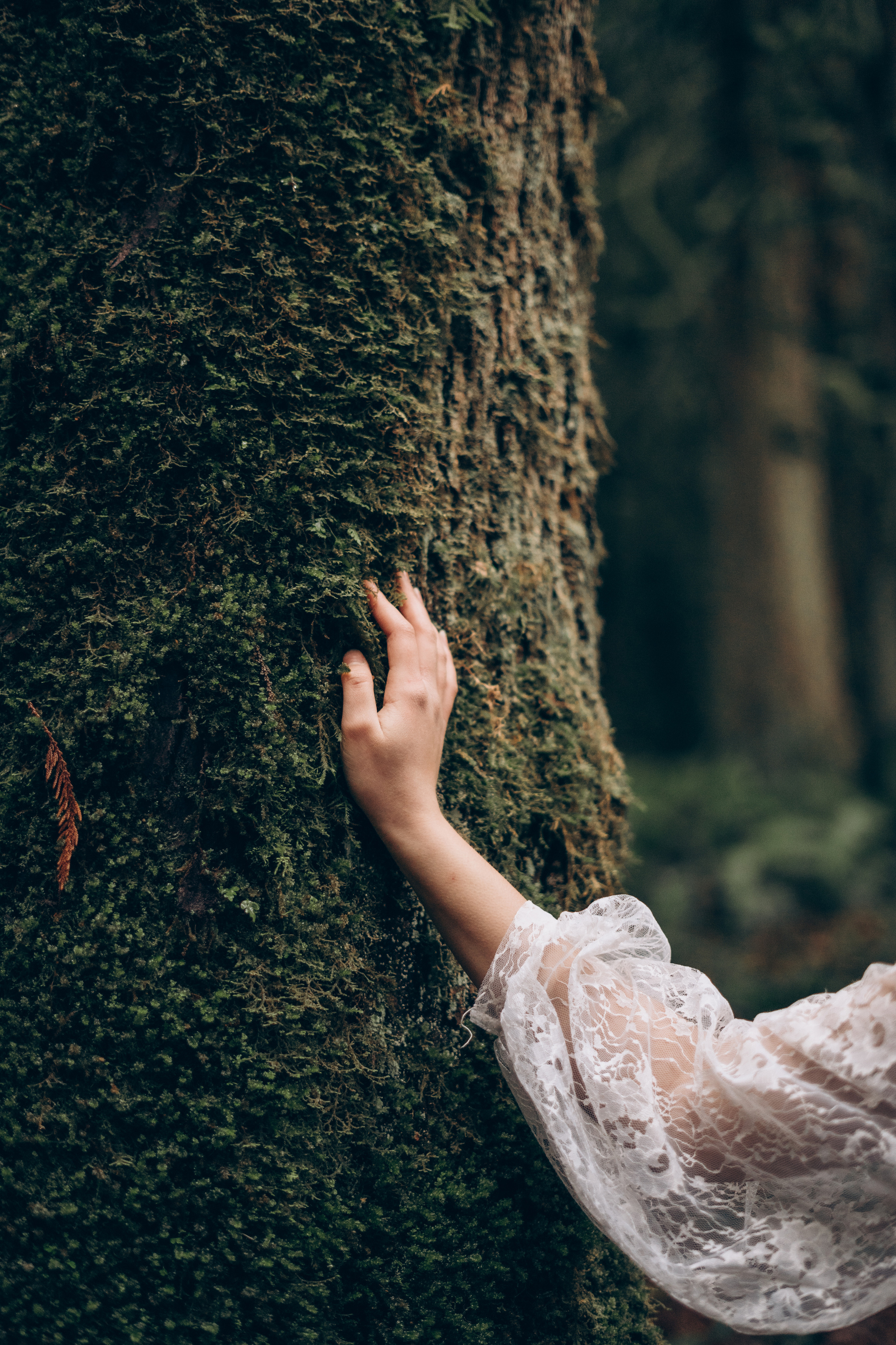 Korneliia. Wedding, family and portrait photographer in Portland