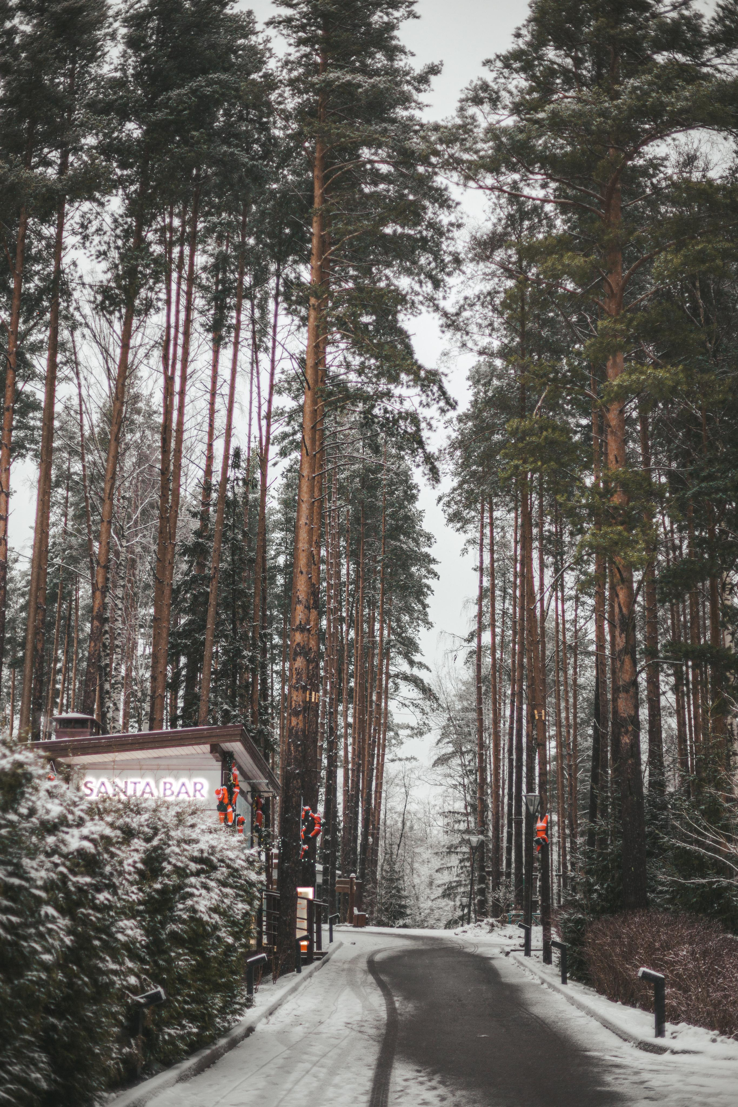 Winter. Wedding, family and portrait photographer in Portland