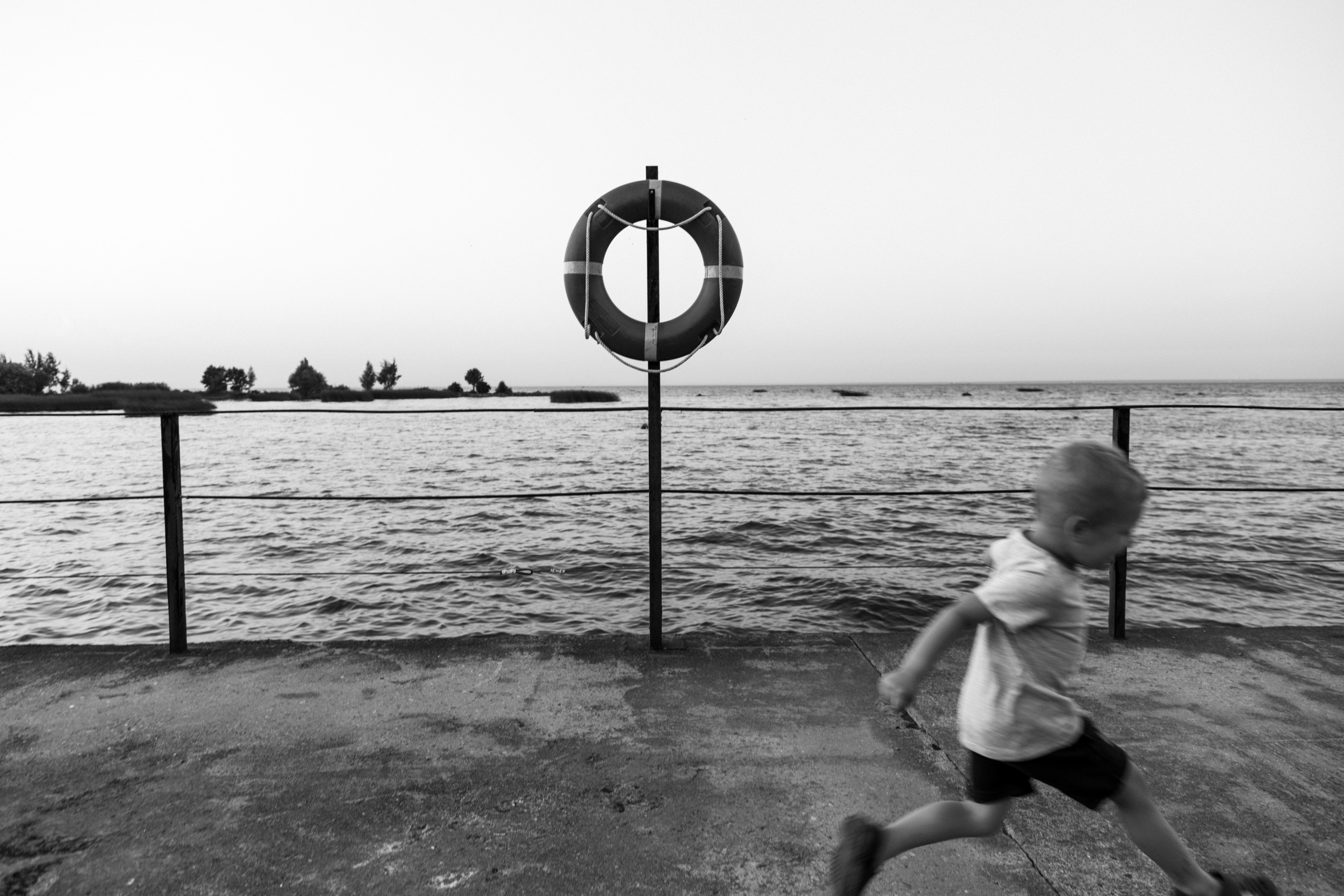 Zhivolup. Wedding, family and portrait photographer in Portland