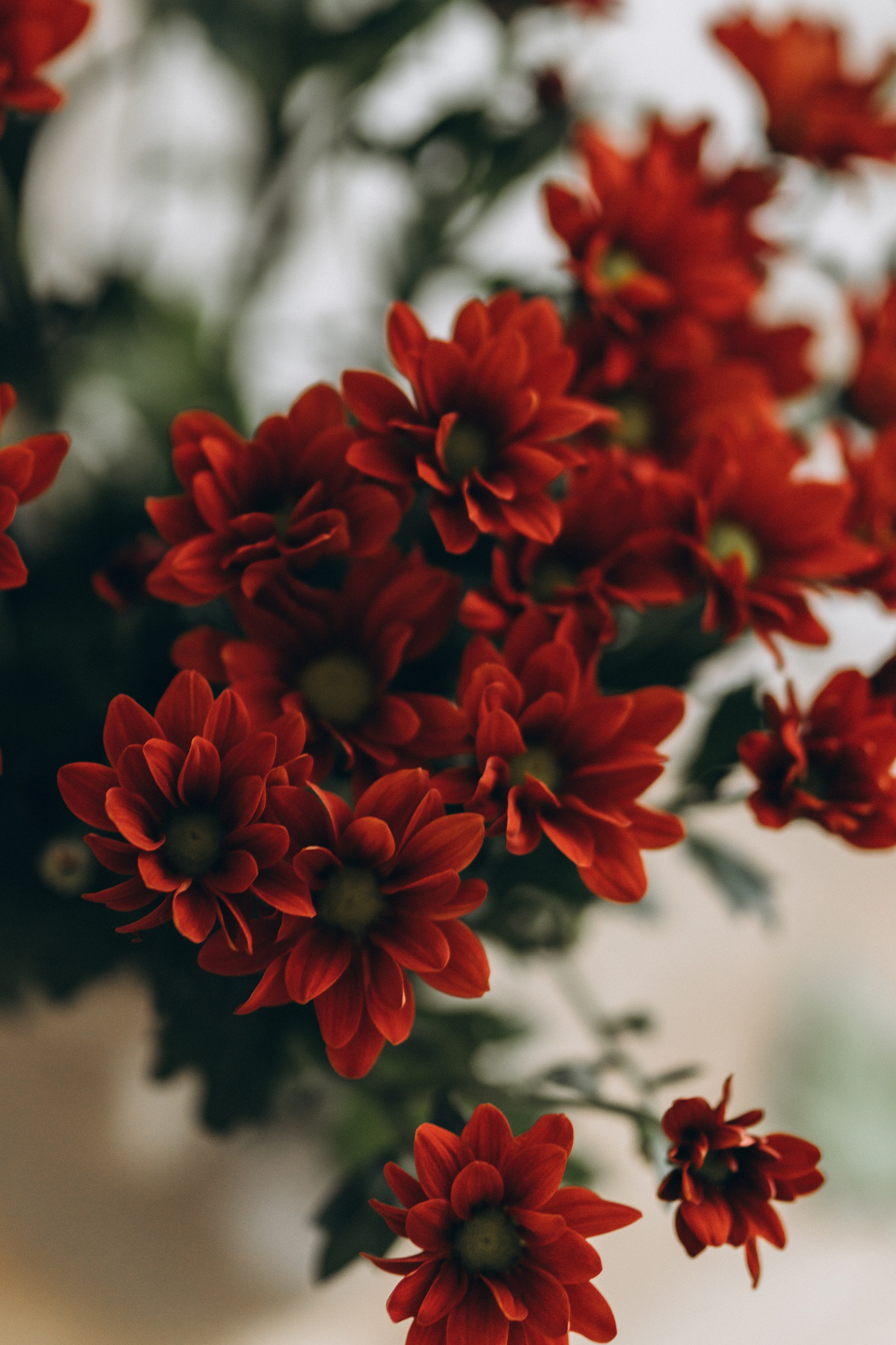 Olga. Wedding and potrait photographer in Helsinki Vickan O