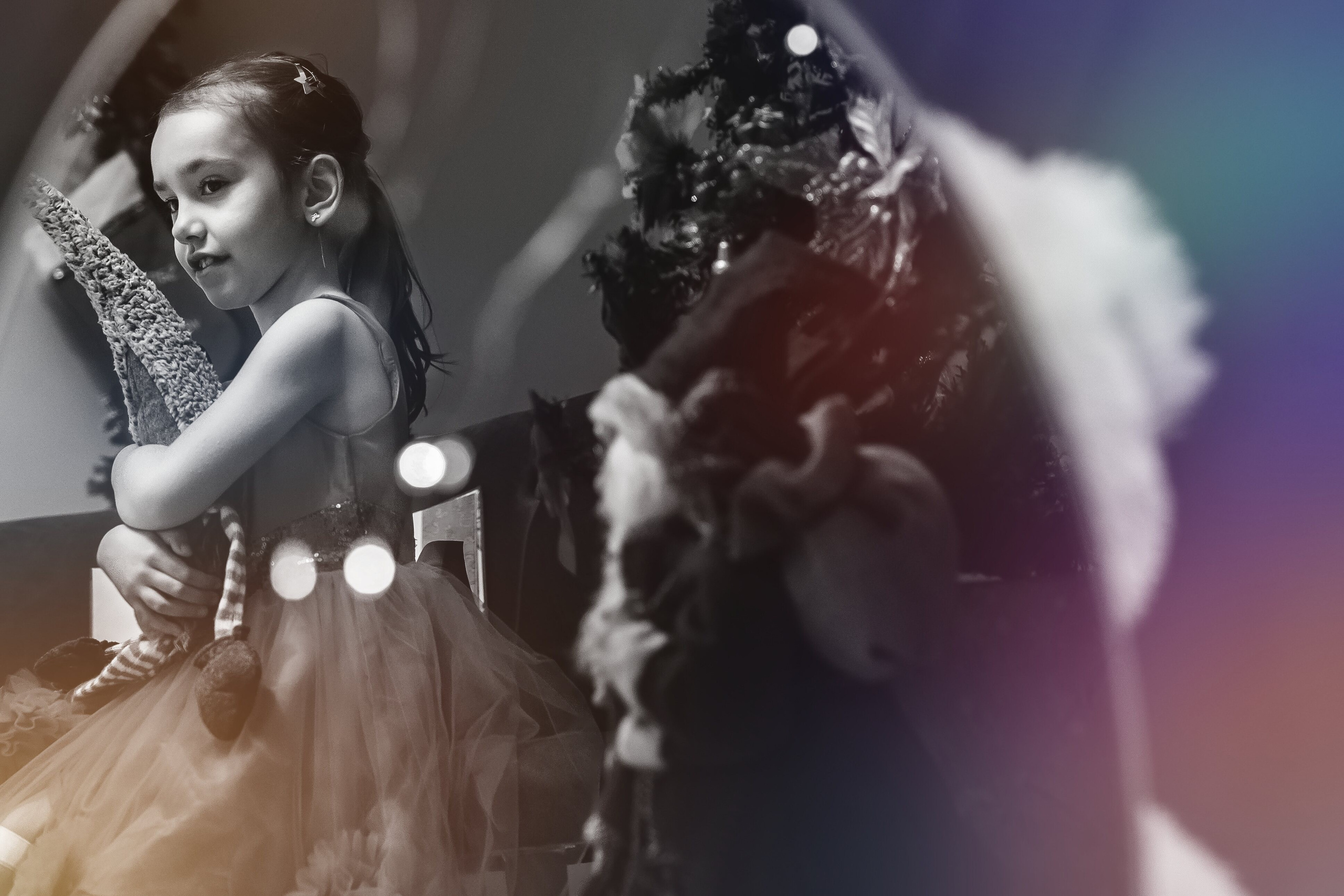 Sedinta Craciun Sofia