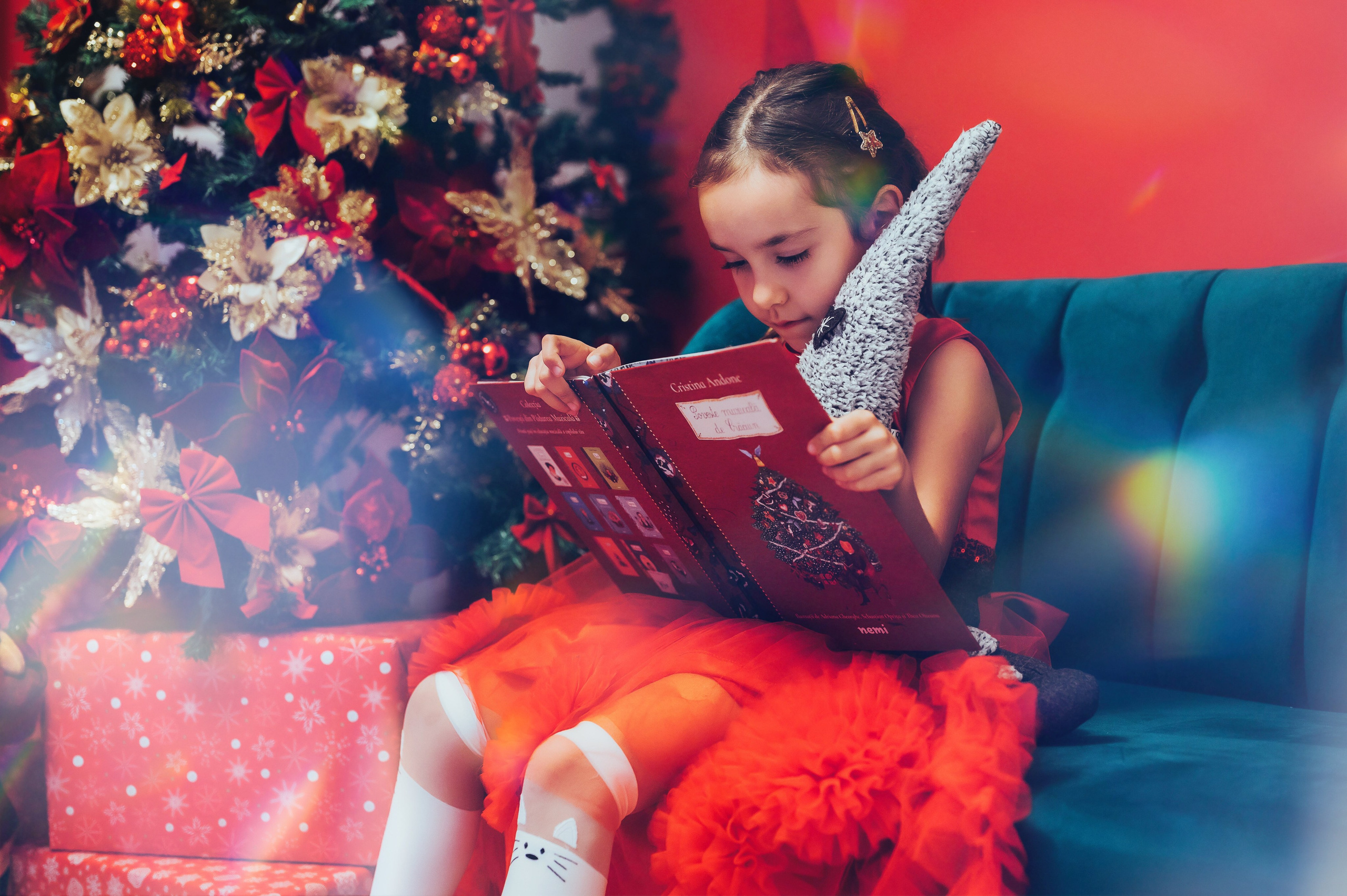 Sedinta Craciun Sofia