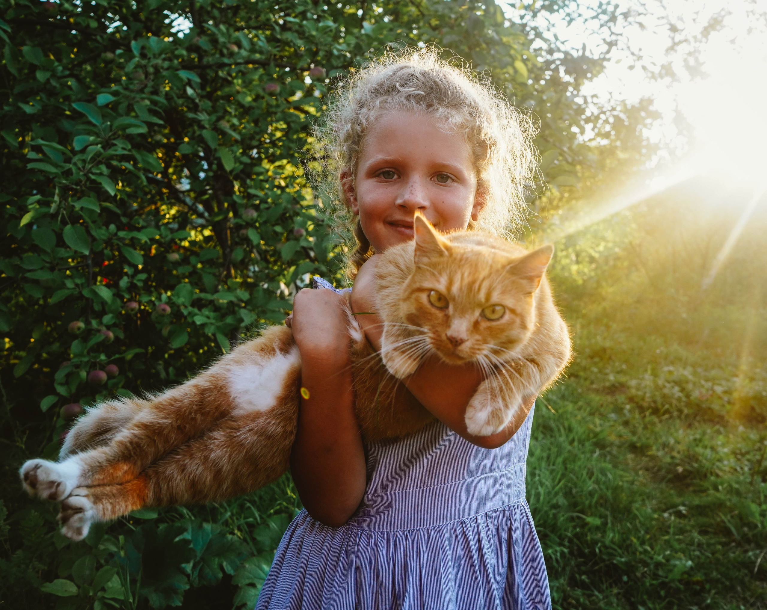 Кот шпедингера. Стрит-фотография, полная абсурда, идиотизма и красоты