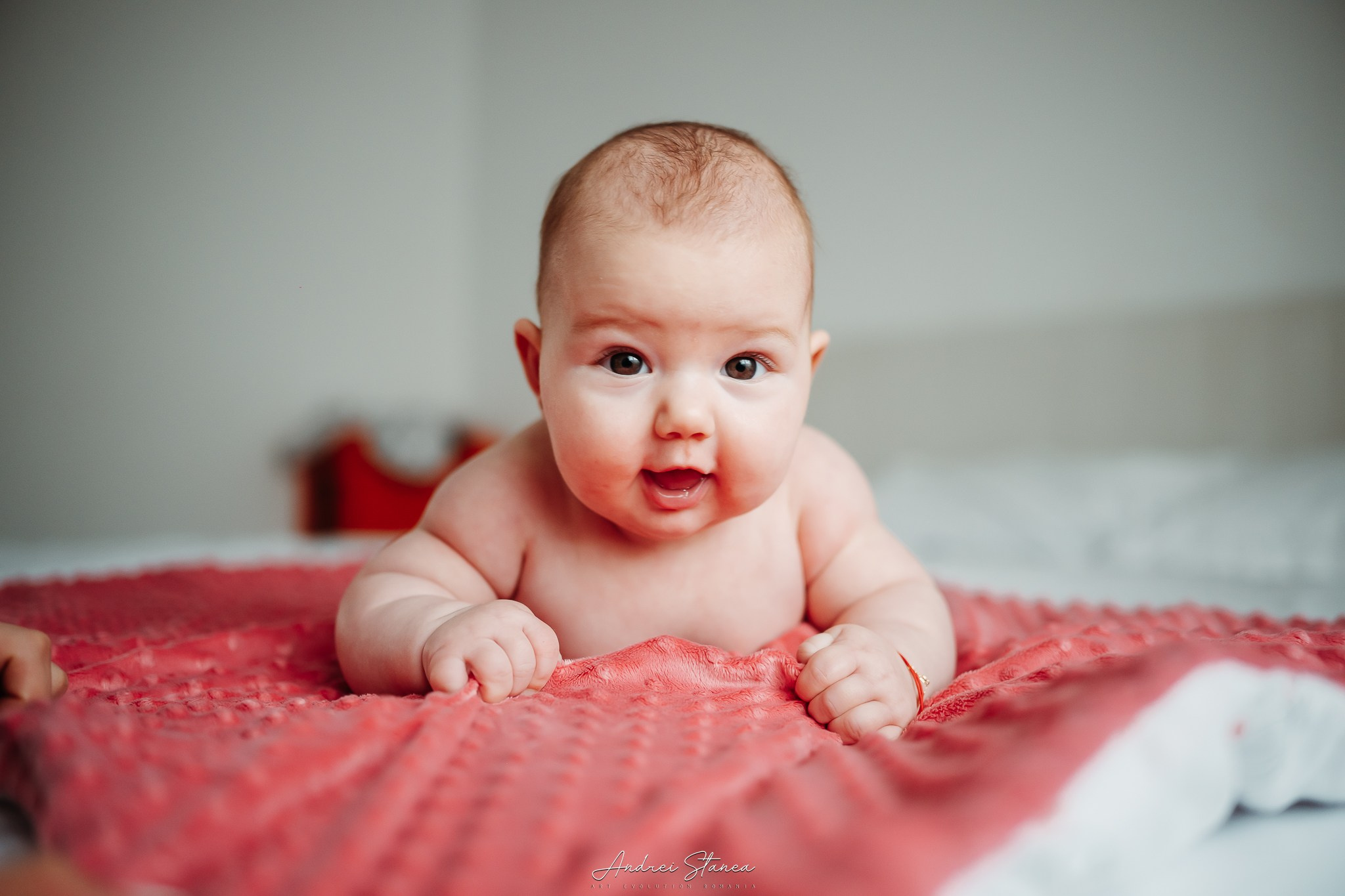 Zenayda. Andrei Stanea