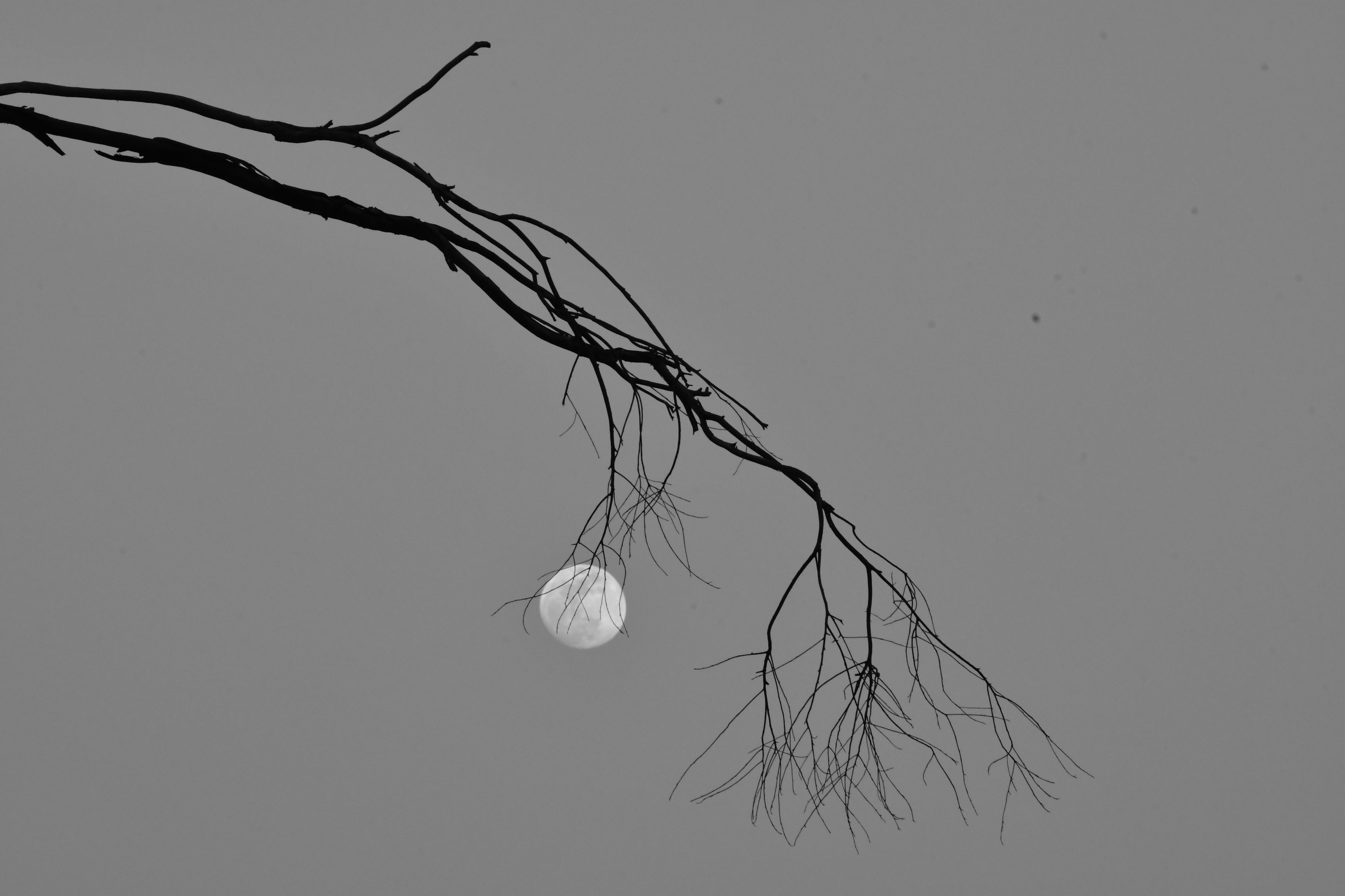 Skyscape’s. Portfolio By Nikhil