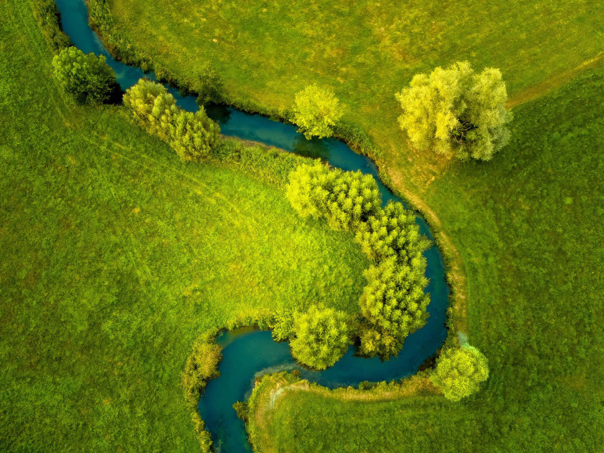 Woodlands. Nature Photographer and Videographer from Germany