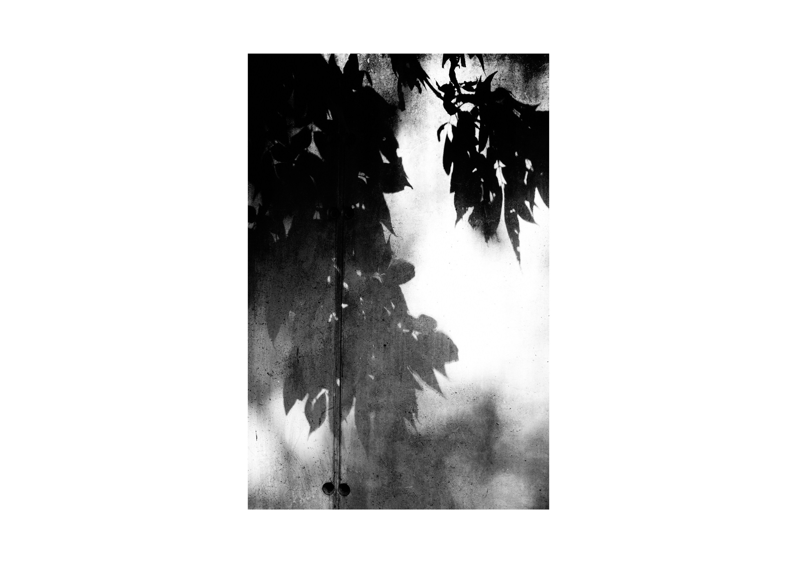 B&W. Cinema that you’ll never see