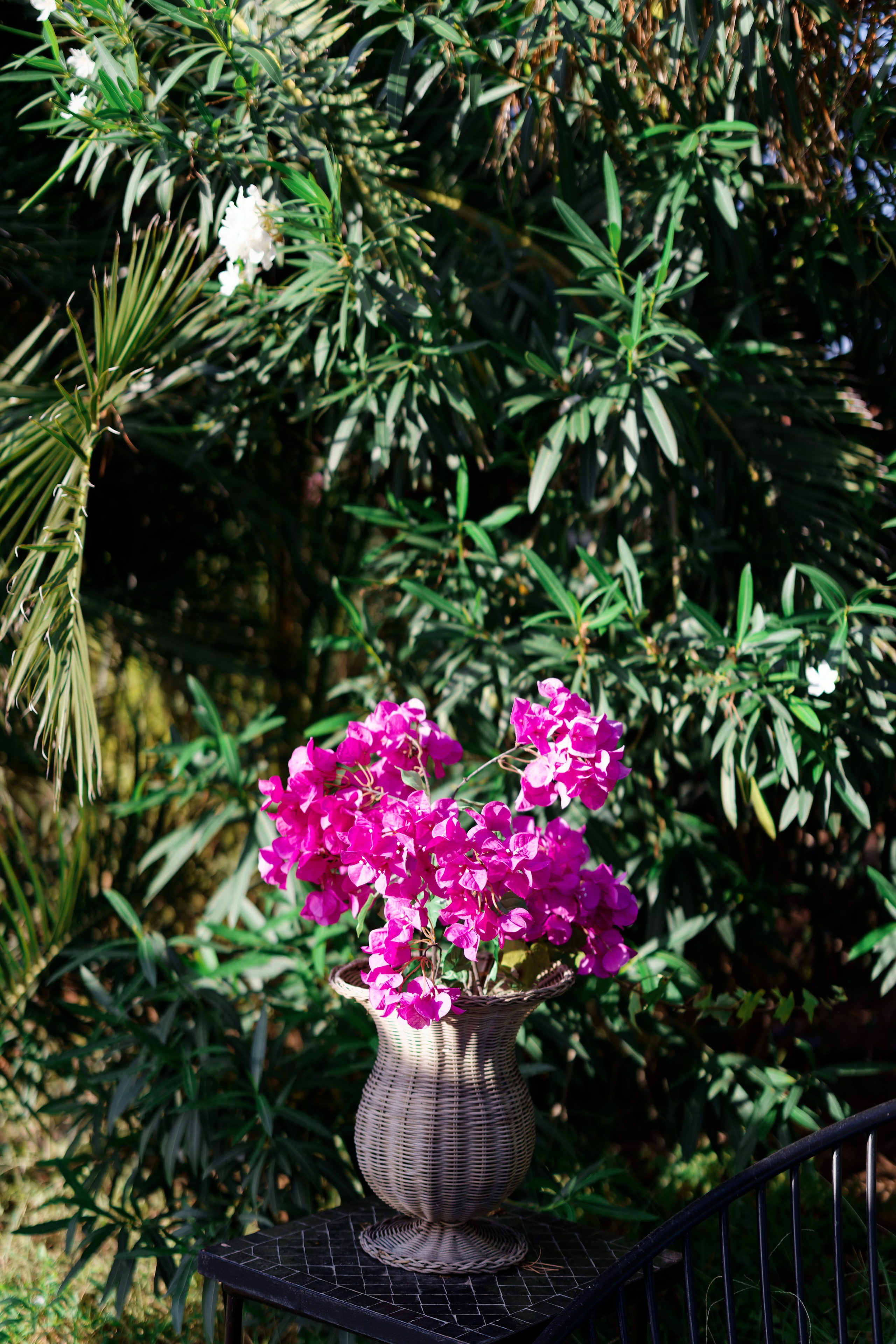 Haldi Ceremony & Mehndi Night & pre-wedding dinner, Barcelona