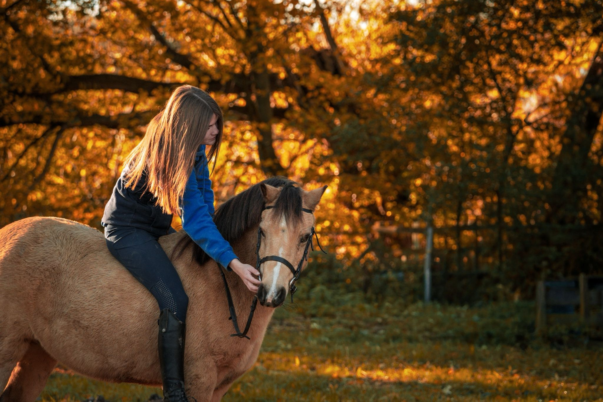 Equestrian. Ryan Hewitt Photographer