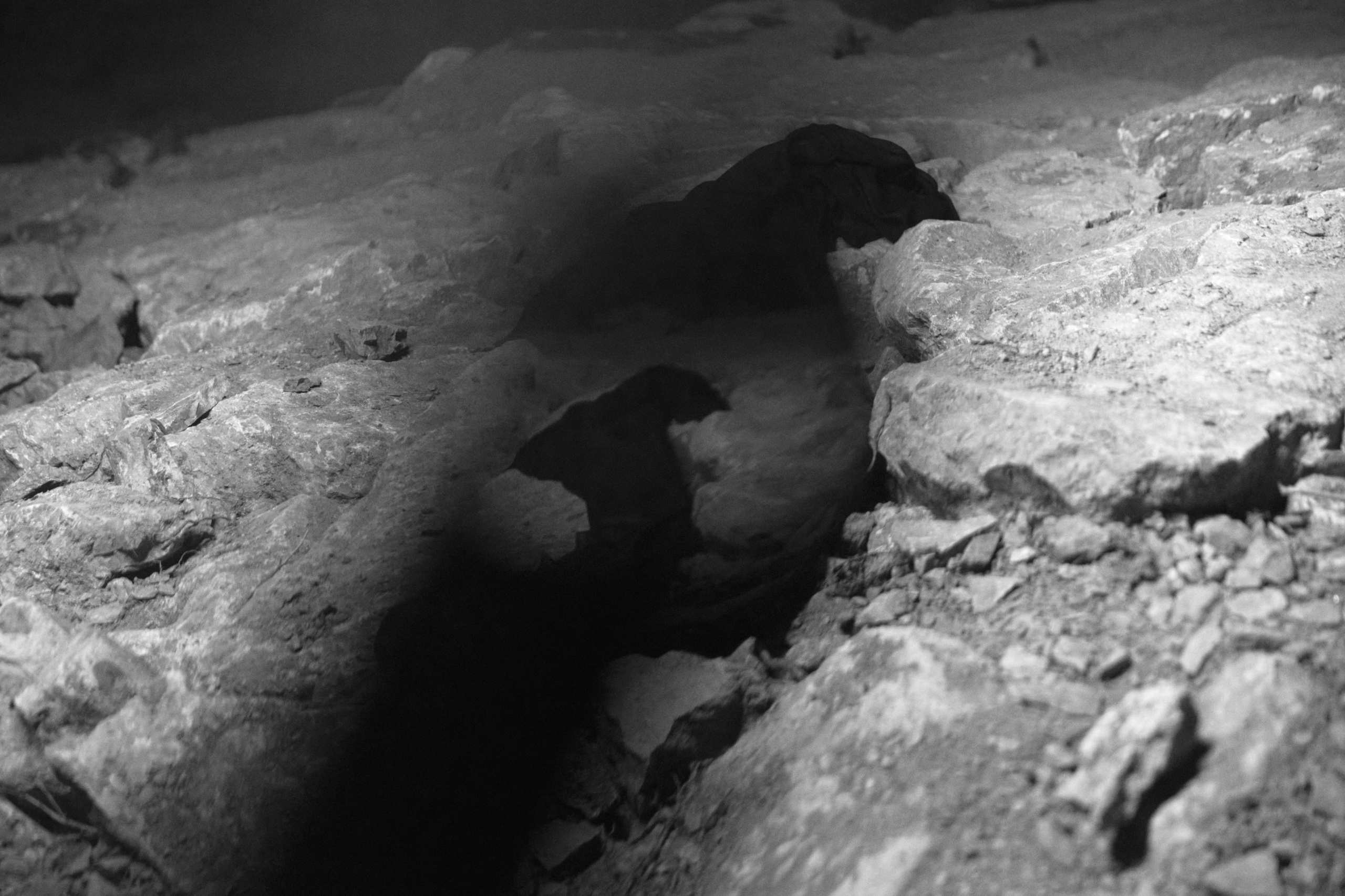 Magdalena Stastnikova. Photographer Katya Vlasova