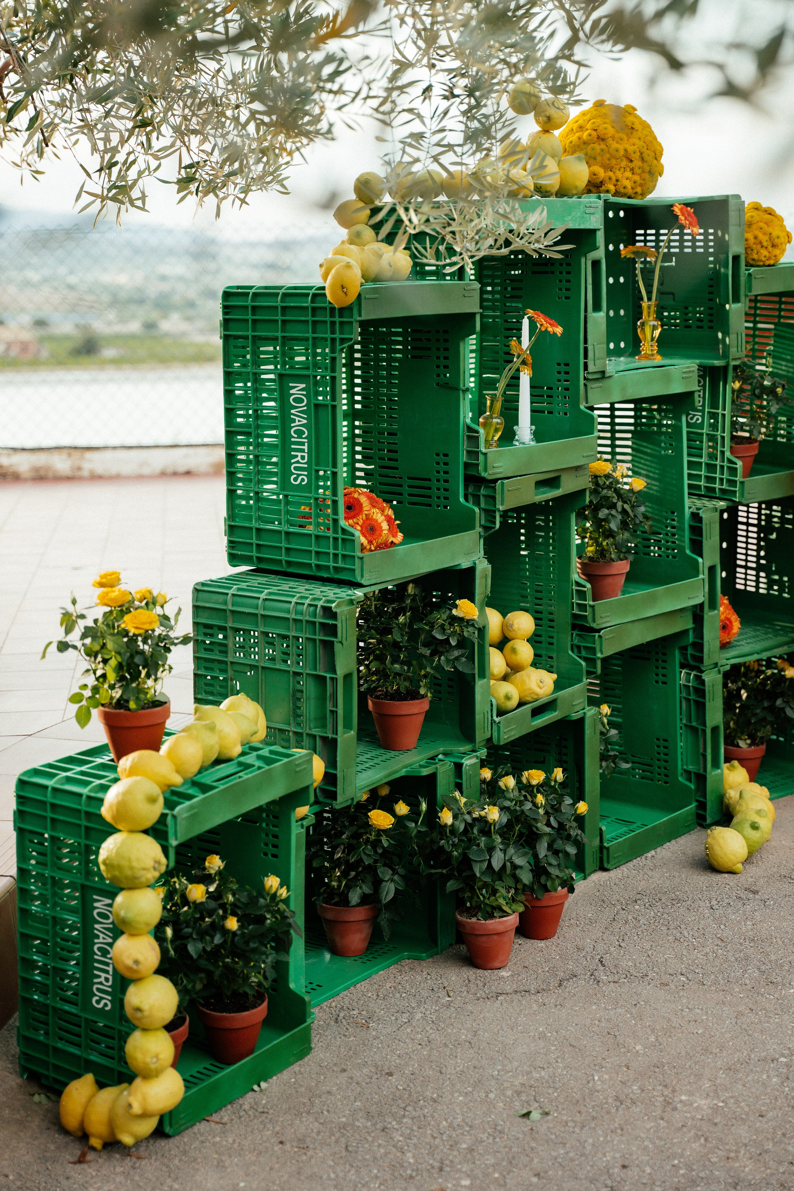 Gonzalo & Maria (Murcia)