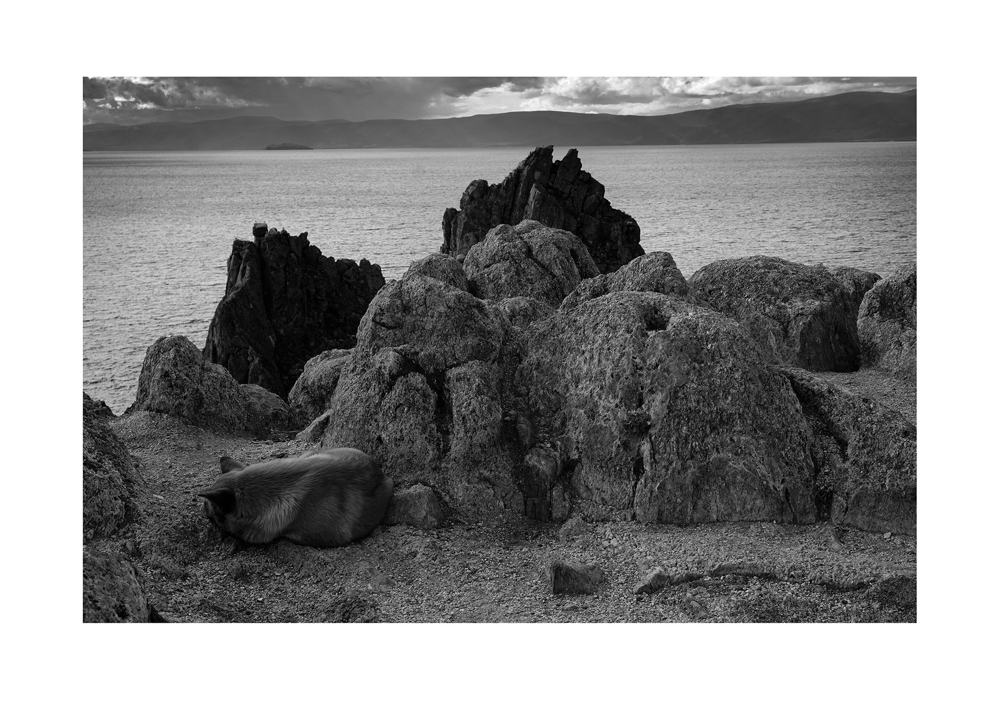 Фотоальбом. Фотограф и фильммейкер Дмитрий Лимперт