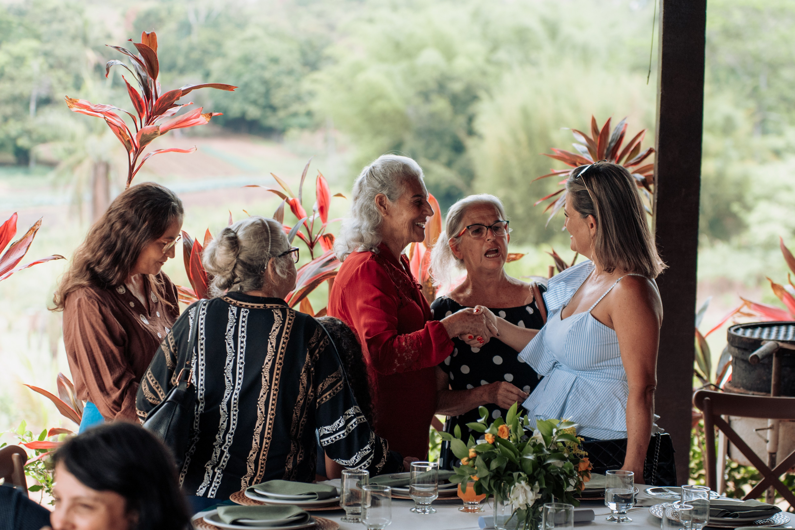 Aniversário. Reference Visuals