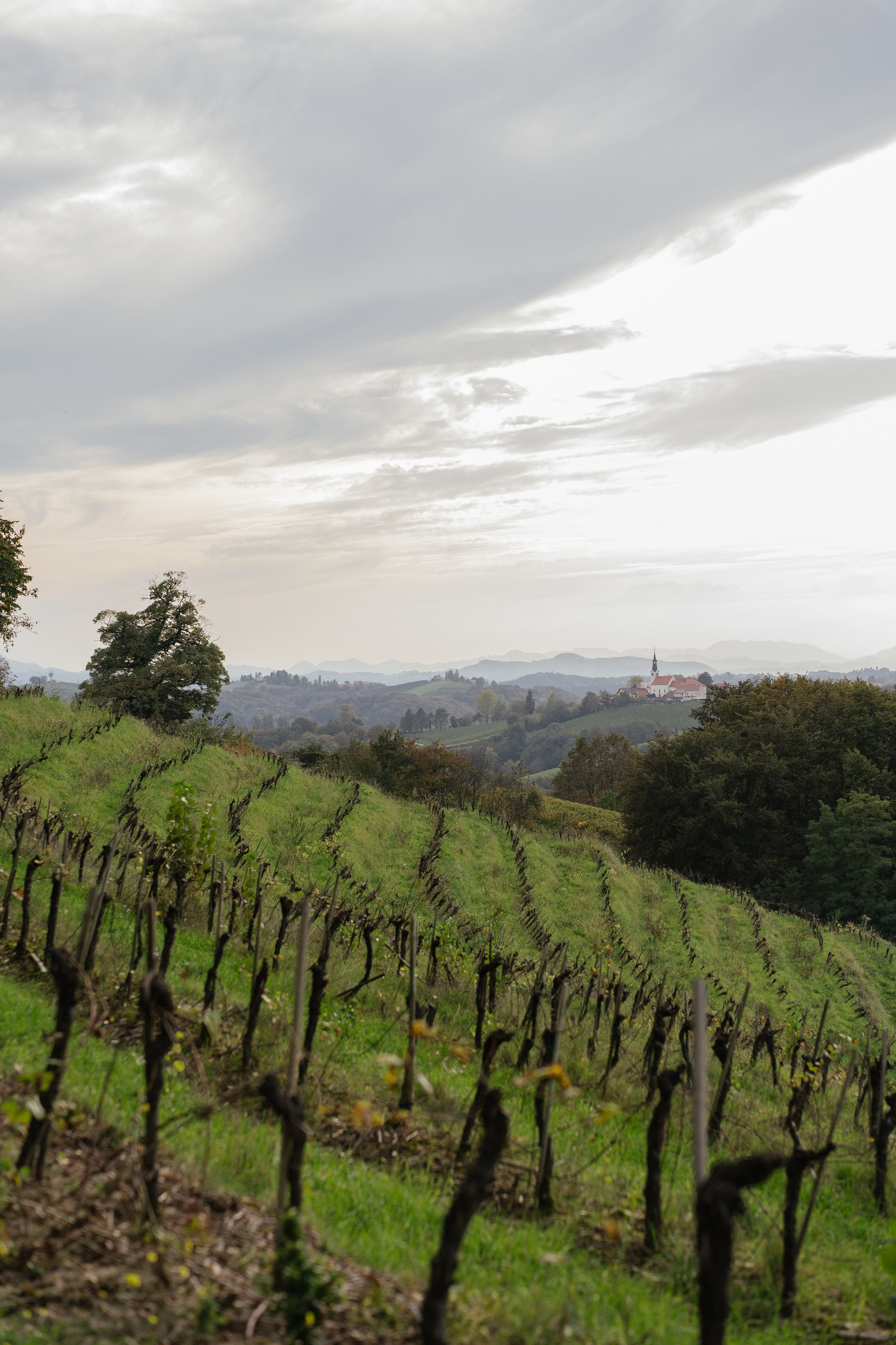 A dreamy scenery. Patricia Morenci — Mountain Adventures for the Wild at Heart