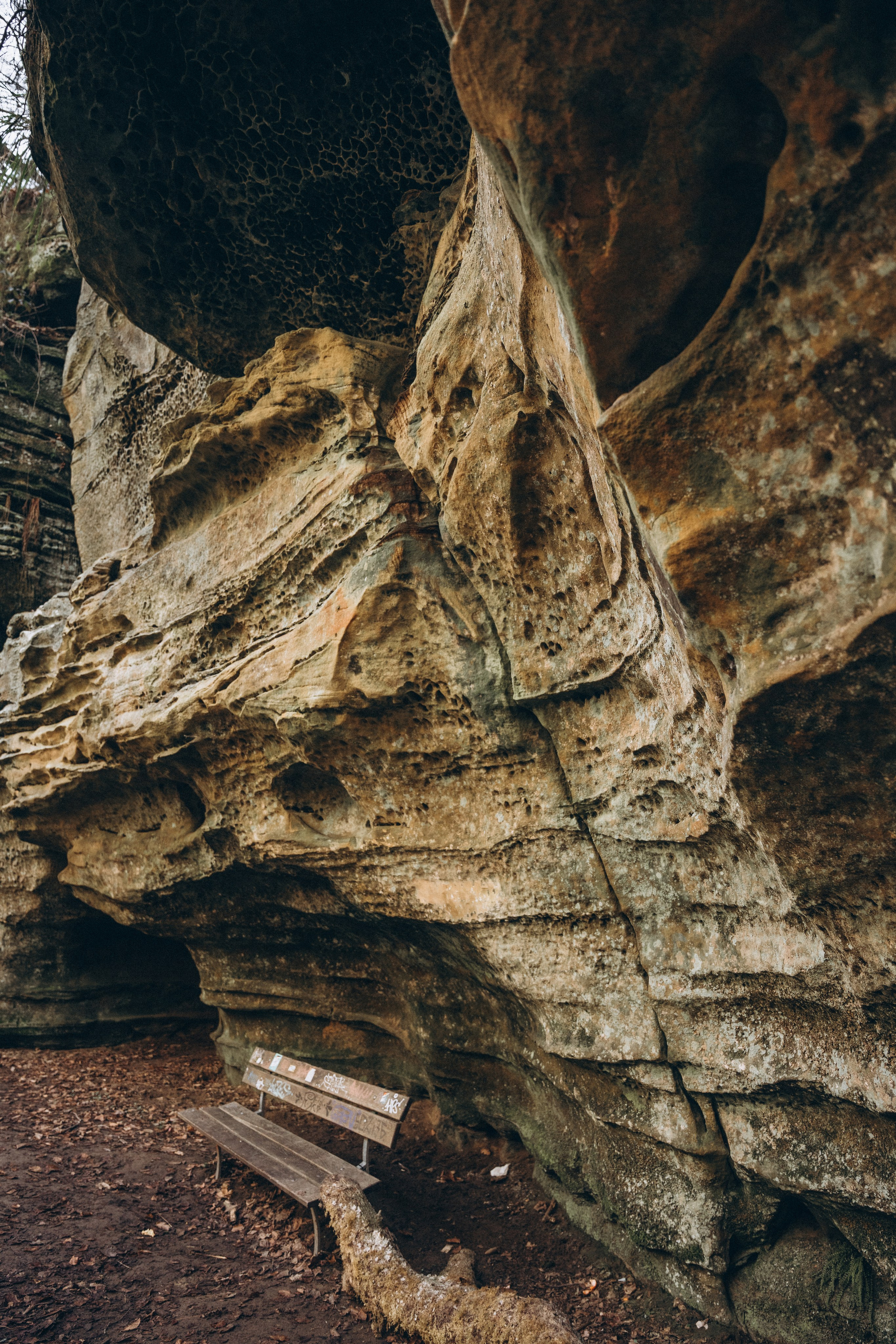 Müllerthal. Elena Seewald