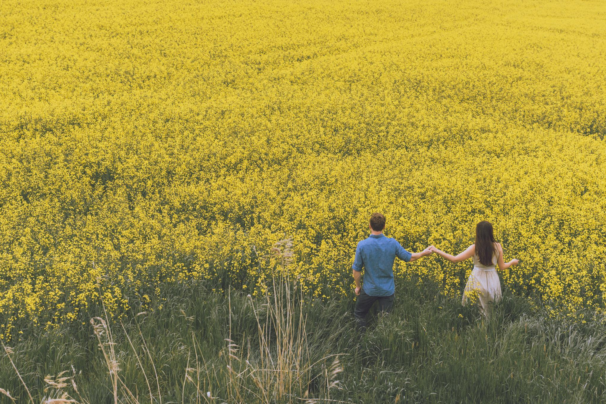 Mein Portfolio: Familienfotografie und Love Story. Lily Walter | Hochzeitsfotografin Regensburg | München