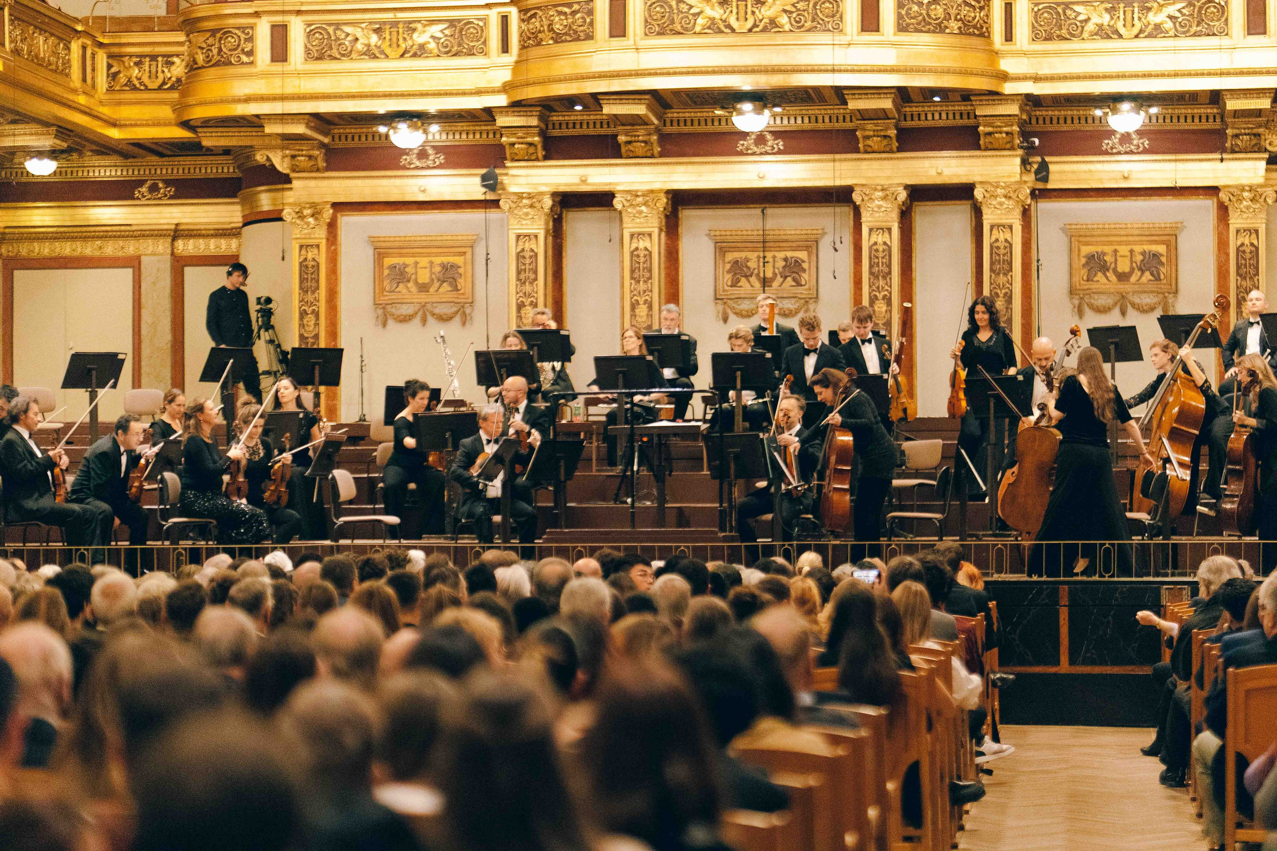 MUSIKVEREIN (VIENNA). Wedding&Event photographer Ismail Rzayev in Baku
