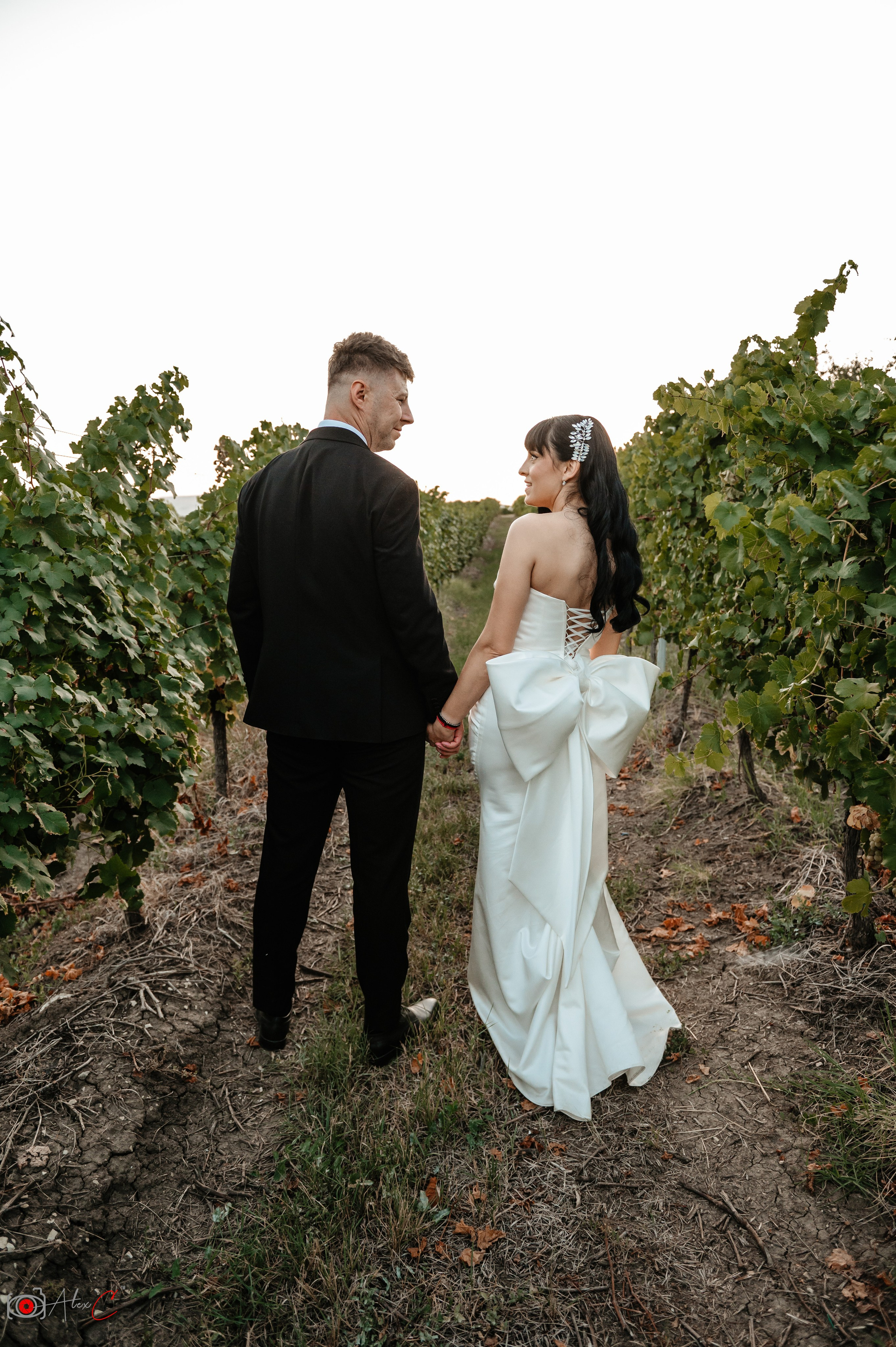 Monica & Dan. Fotograf de evenimente