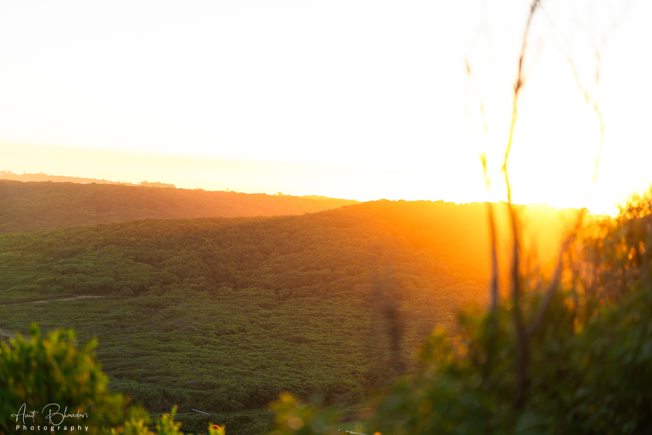 📍Newcastle & Surrounds — 🇦🇺 Beautiful Shoot Locations. Freelance Photographer in Newcastle & Central Coast