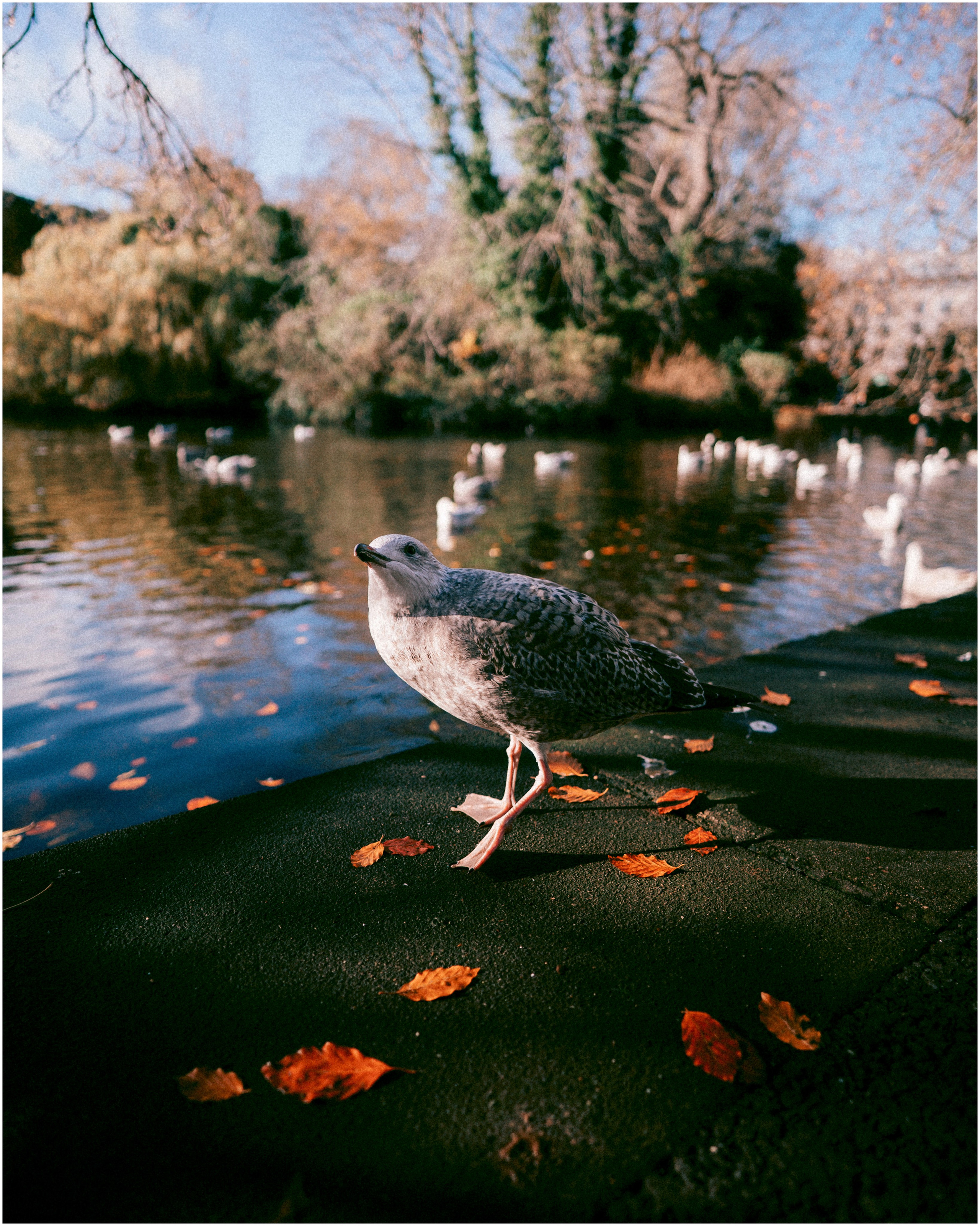 IRELAND. Inna Mendelson — Photographer