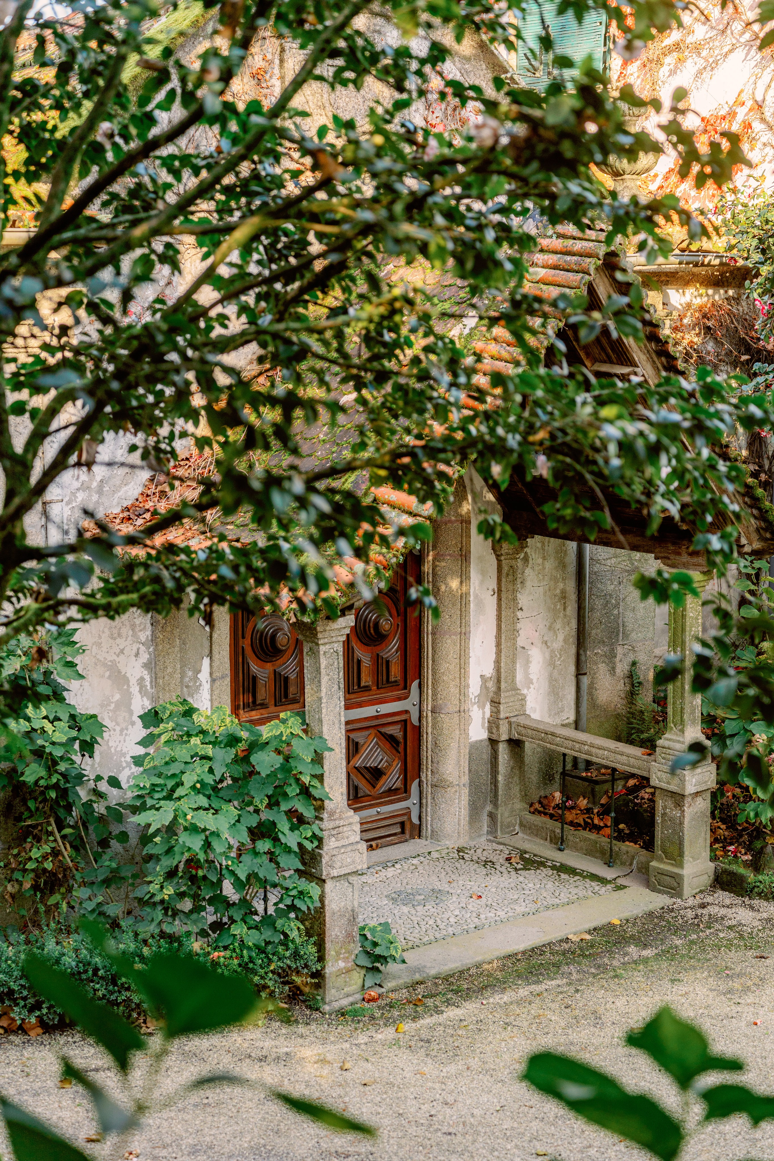 Винью Верде на ½ дня