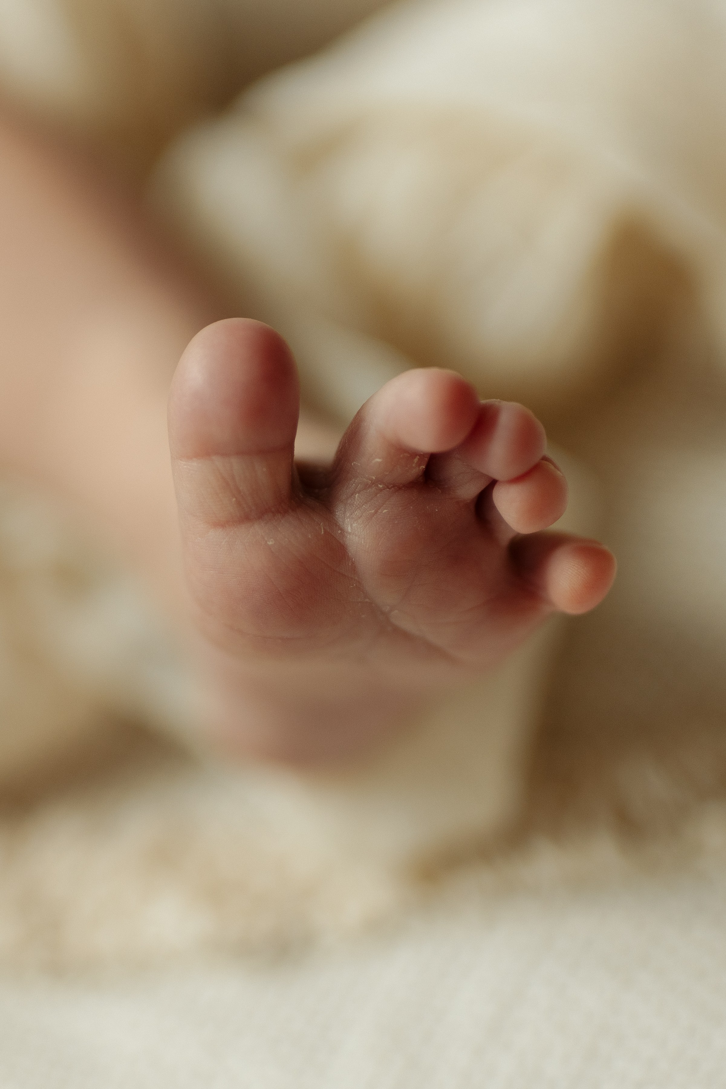 Newborn. Oksana Ganbina Photography