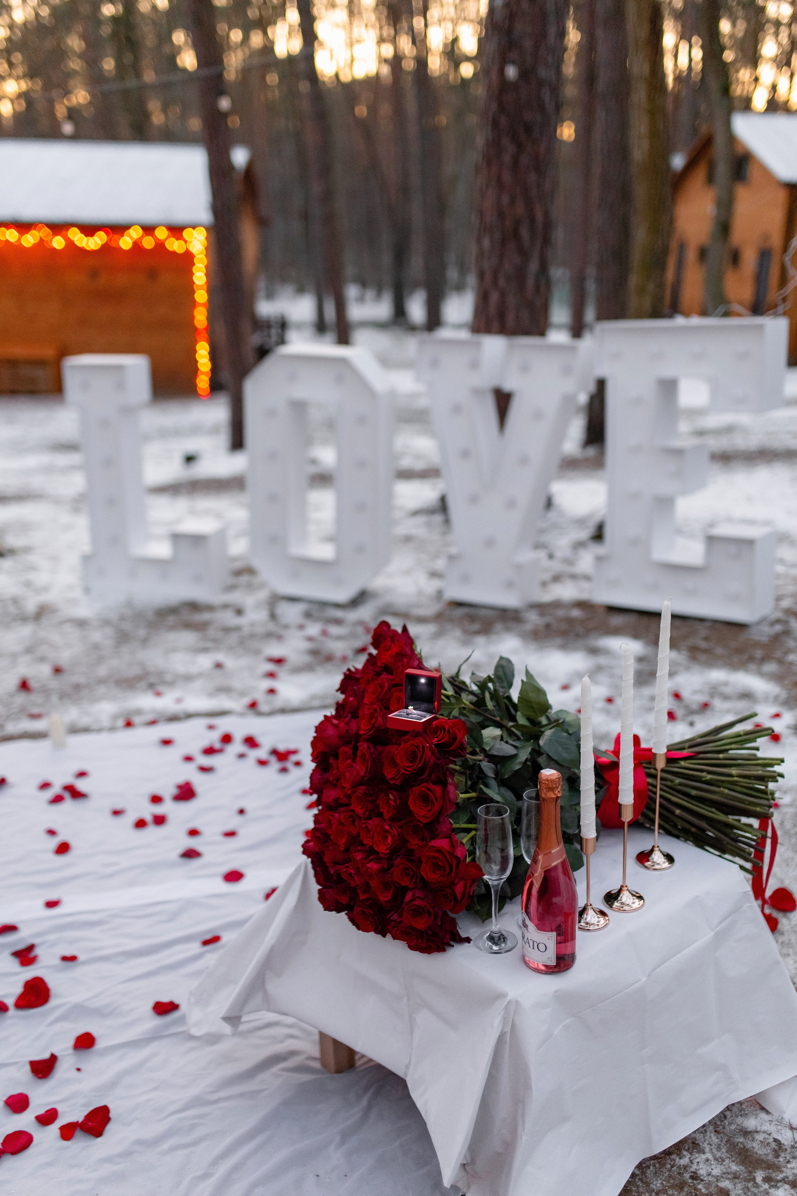 Пропозиція. Весільний, сімейний фотограф Варшава