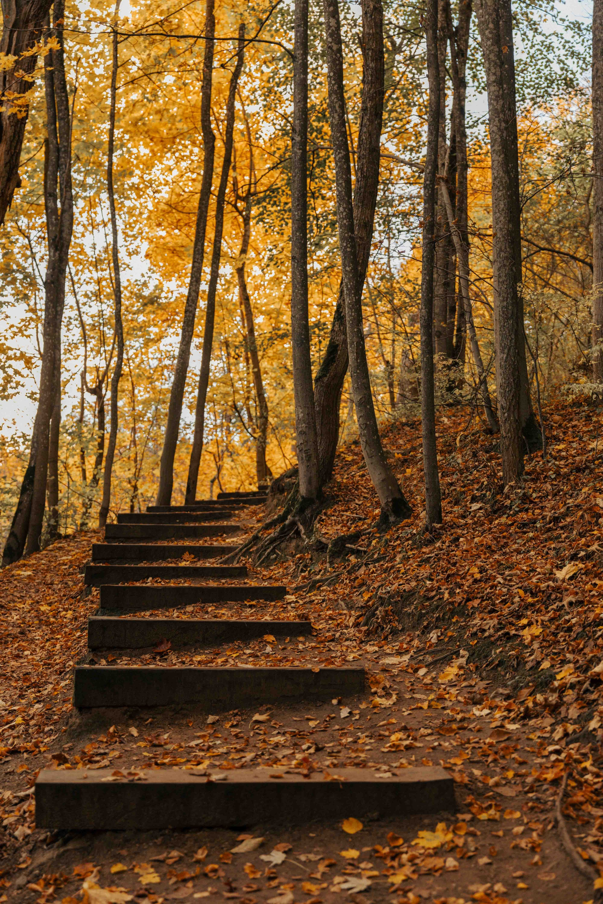 Best Autumn Photoshoot Locations in Vilnius: Top Spots to Capture the Fall Colors. Framed by Evelina | Destination Wedding Photographer from Lithuania | Europe