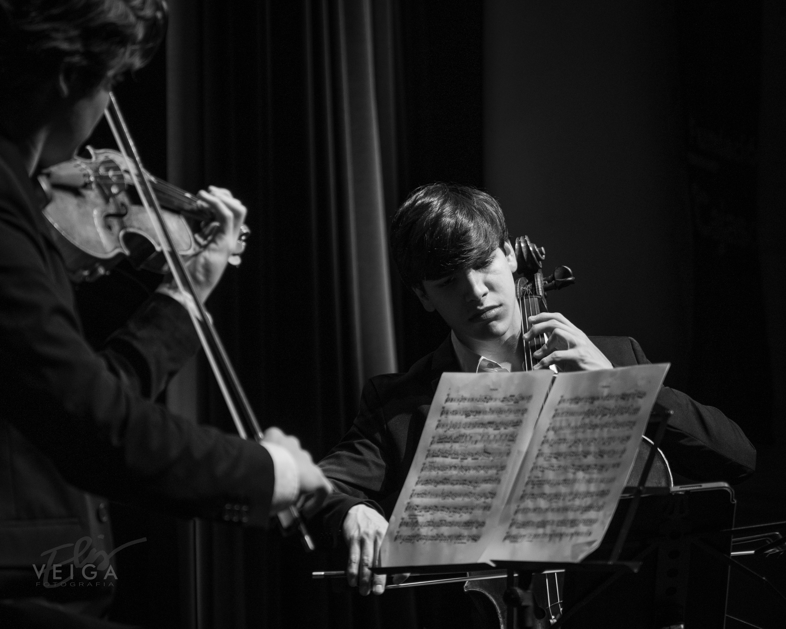 Conciertos_Clasica_Cust. Elisveiga