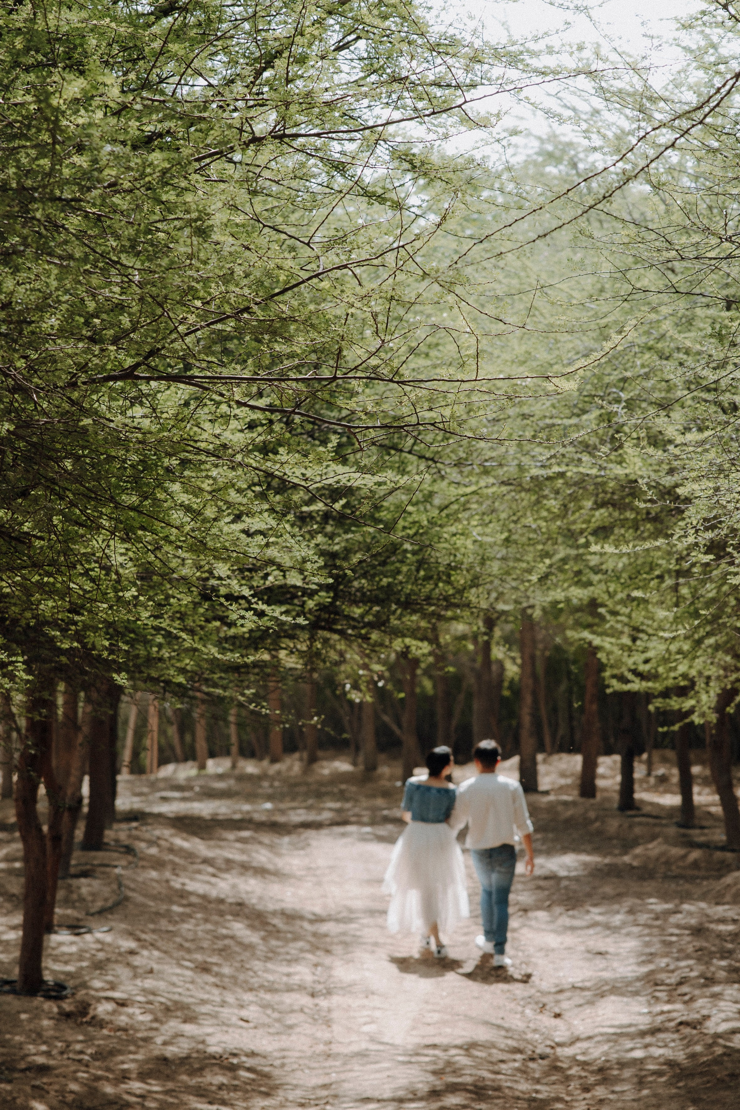 Allen & Kitty PreWedding