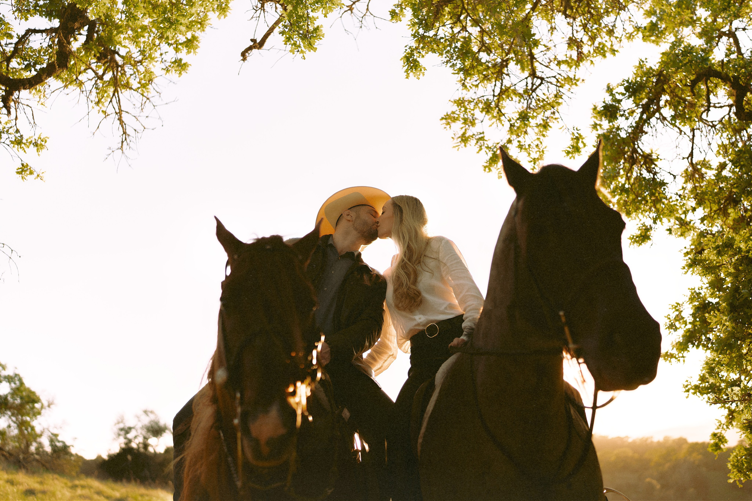 Engagement with Horses, Napa, Northern California. Wedding Photography & Videography Team in California, Los Angeles, San Francisco, San Diego and Travel