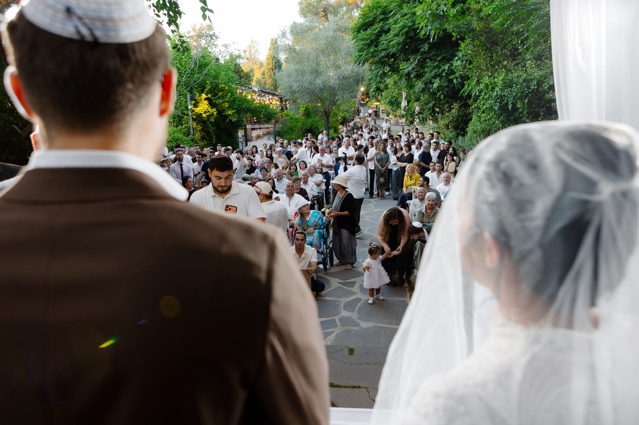 Beneath the Olive Trees. צלמת וצלם וידאו, הפועלים בישראל וברחבי העולם
